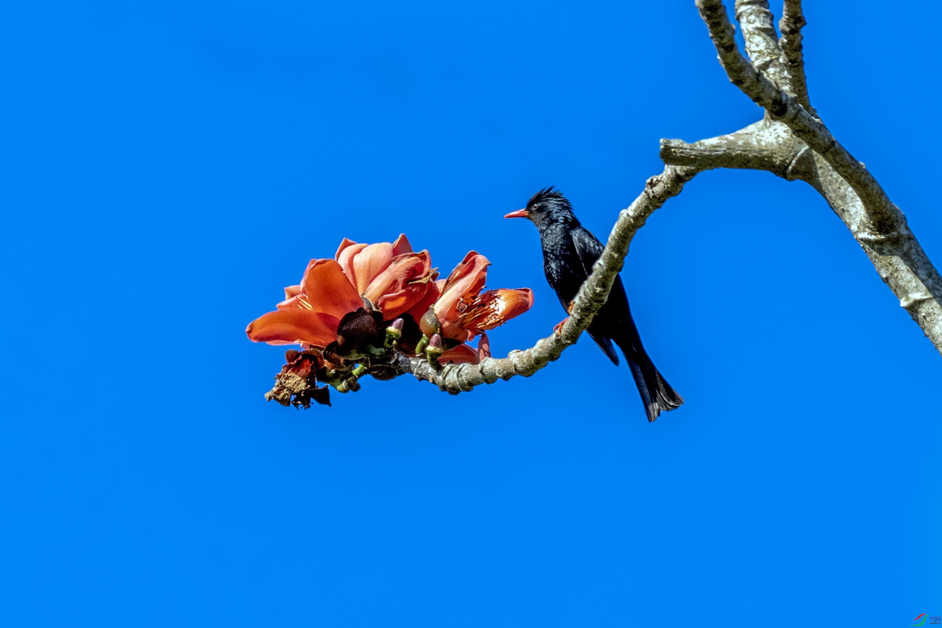 DSC_9788.jpg