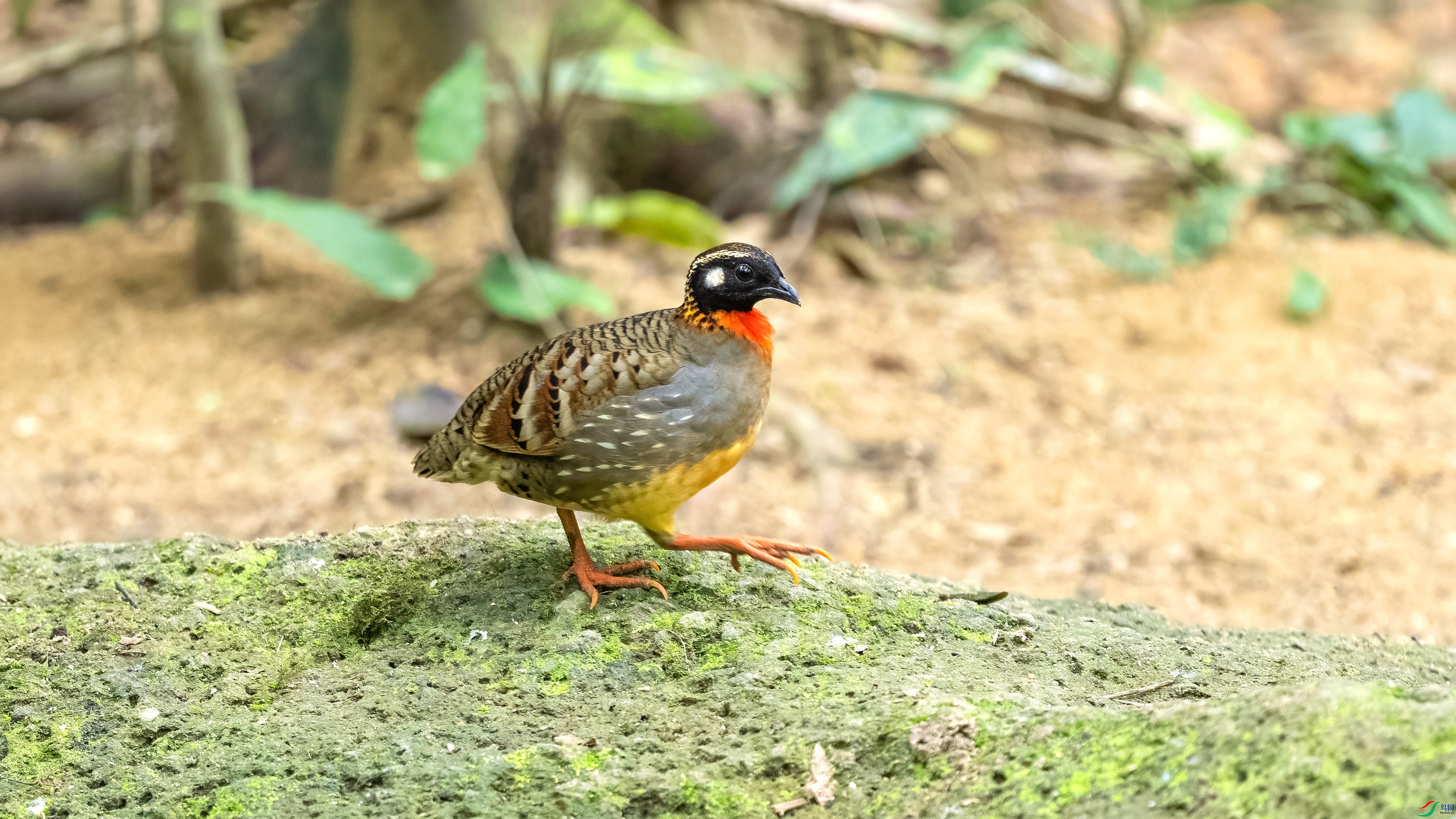DSC_1030.jpg