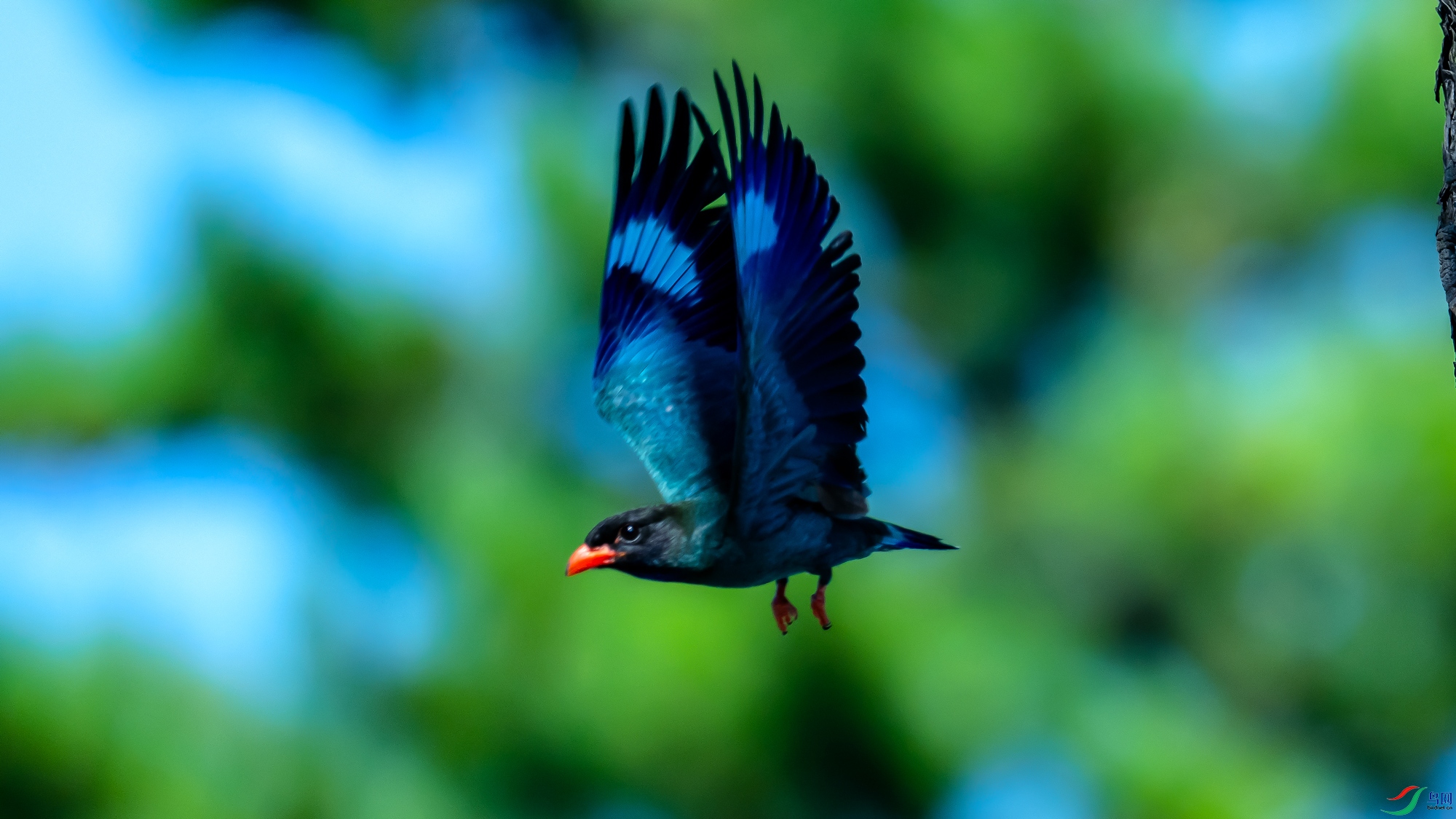 DSC_2507.jpg