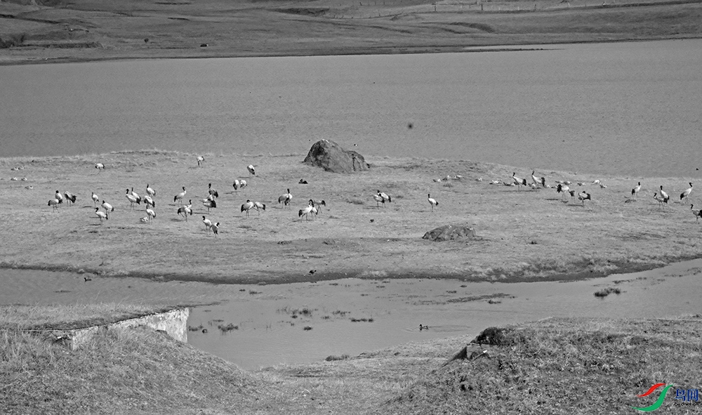 DSCF6298.1.jpg