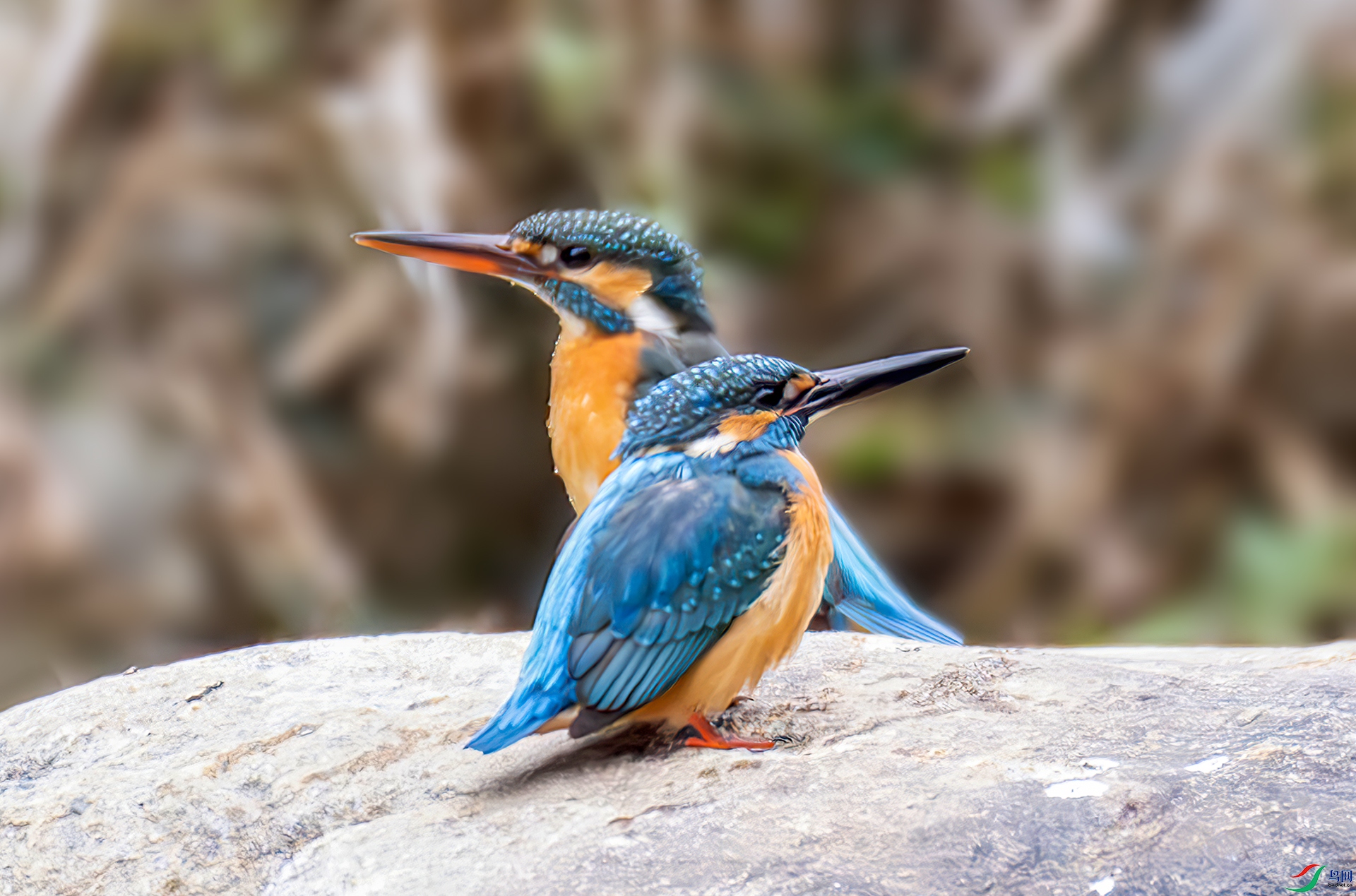 407A5712-----33  .jpg