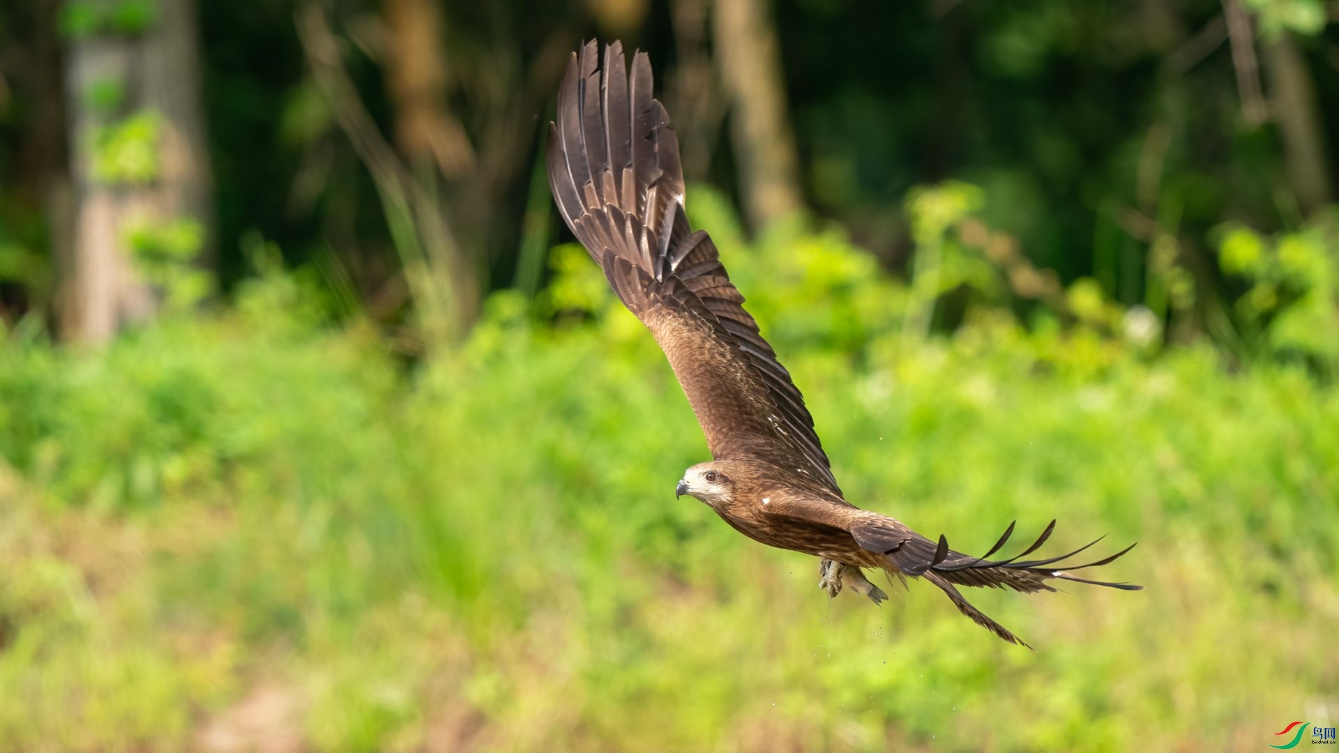 DSC06741 ����.jpg