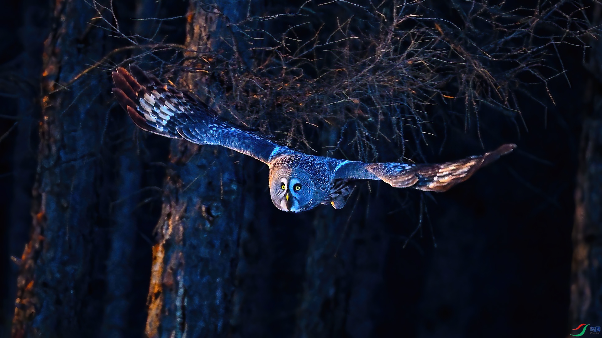 XHH_0013 ���� 2.jpg