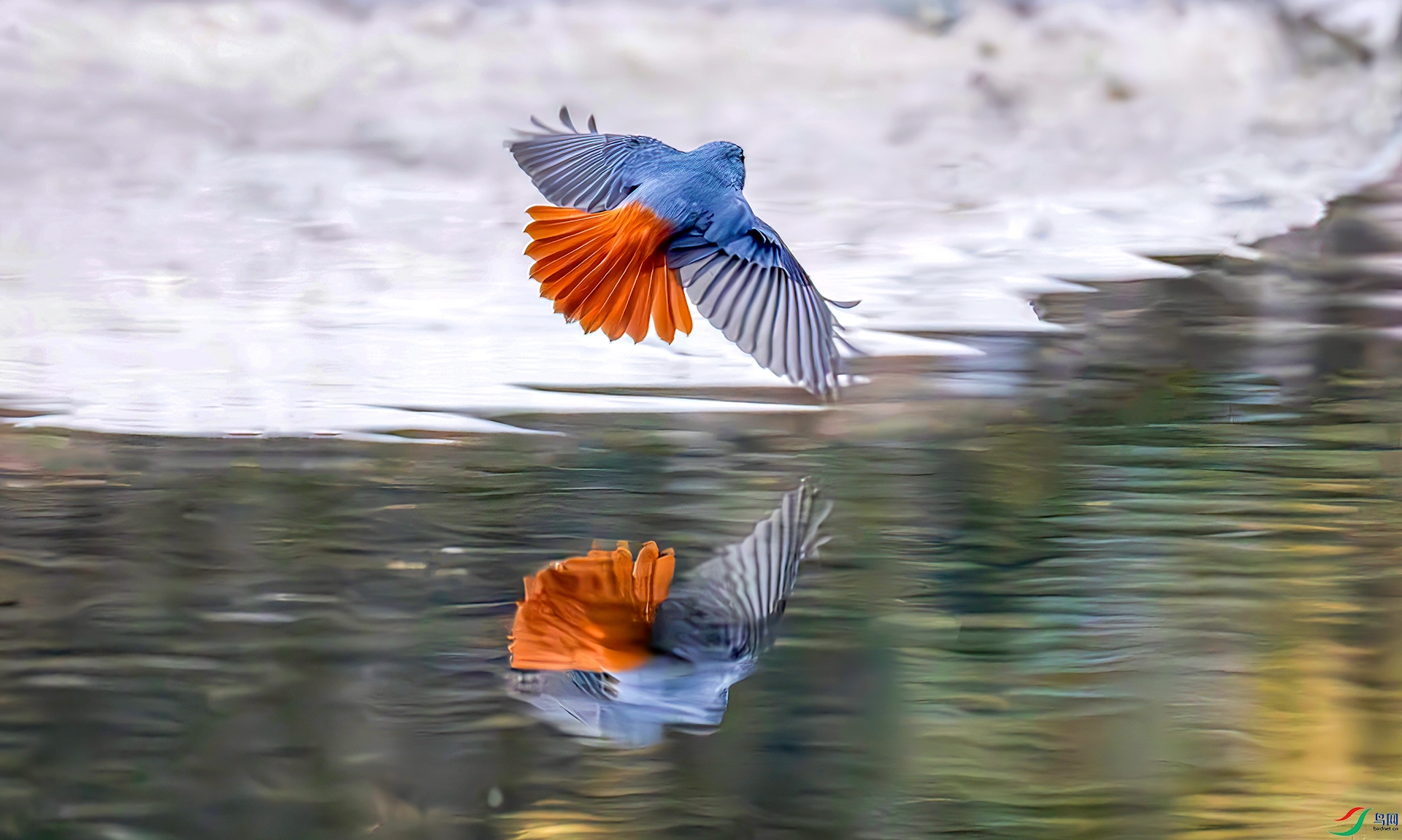 407A1807------33  .jpg