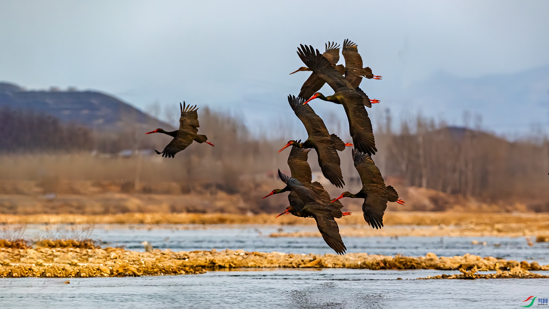 398A8828 ����.jpg
