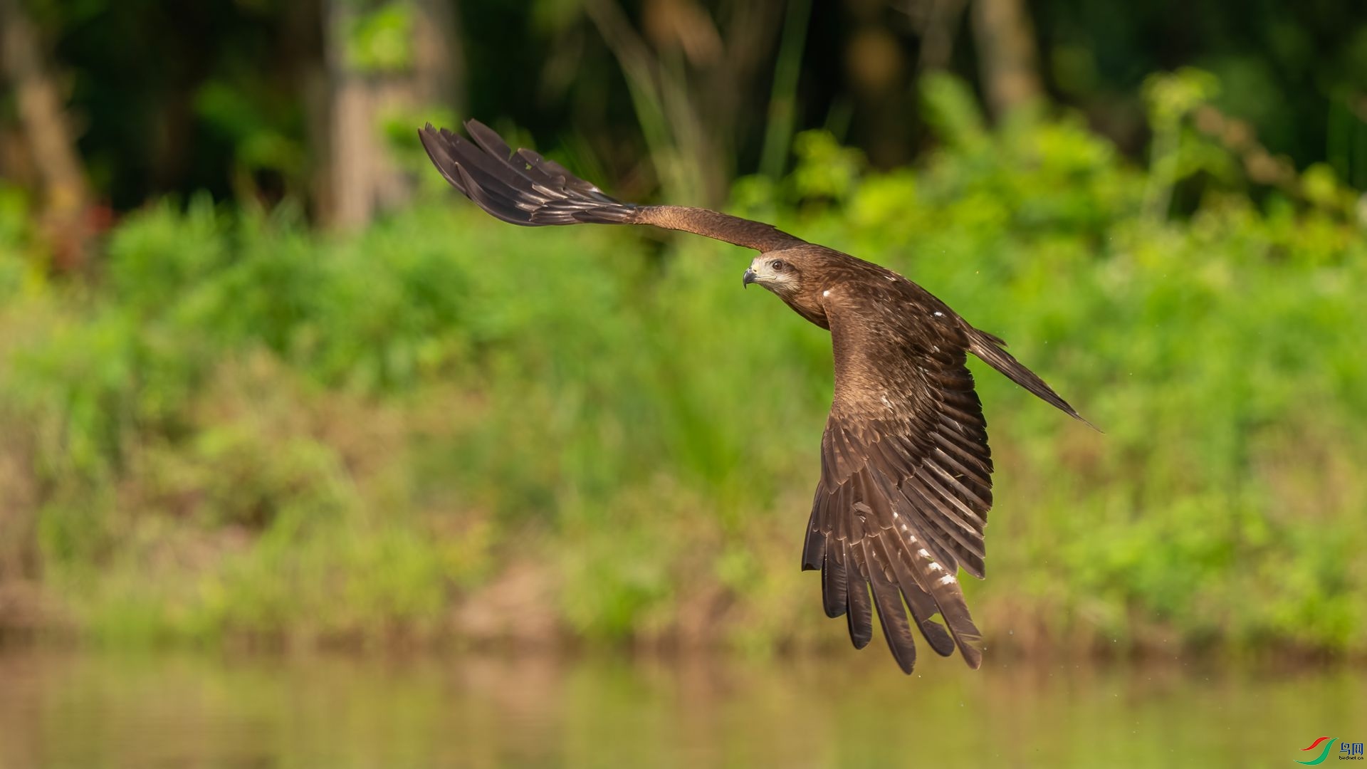 DSC06742 ����.jpg