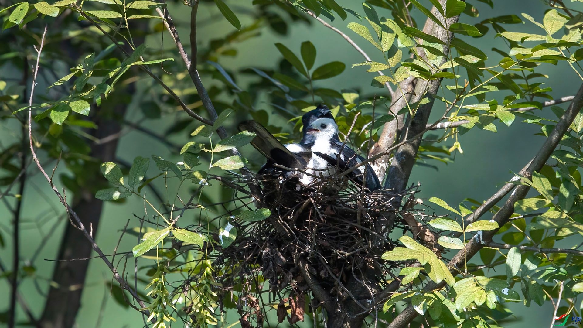 _WGB0349 ����.jpg