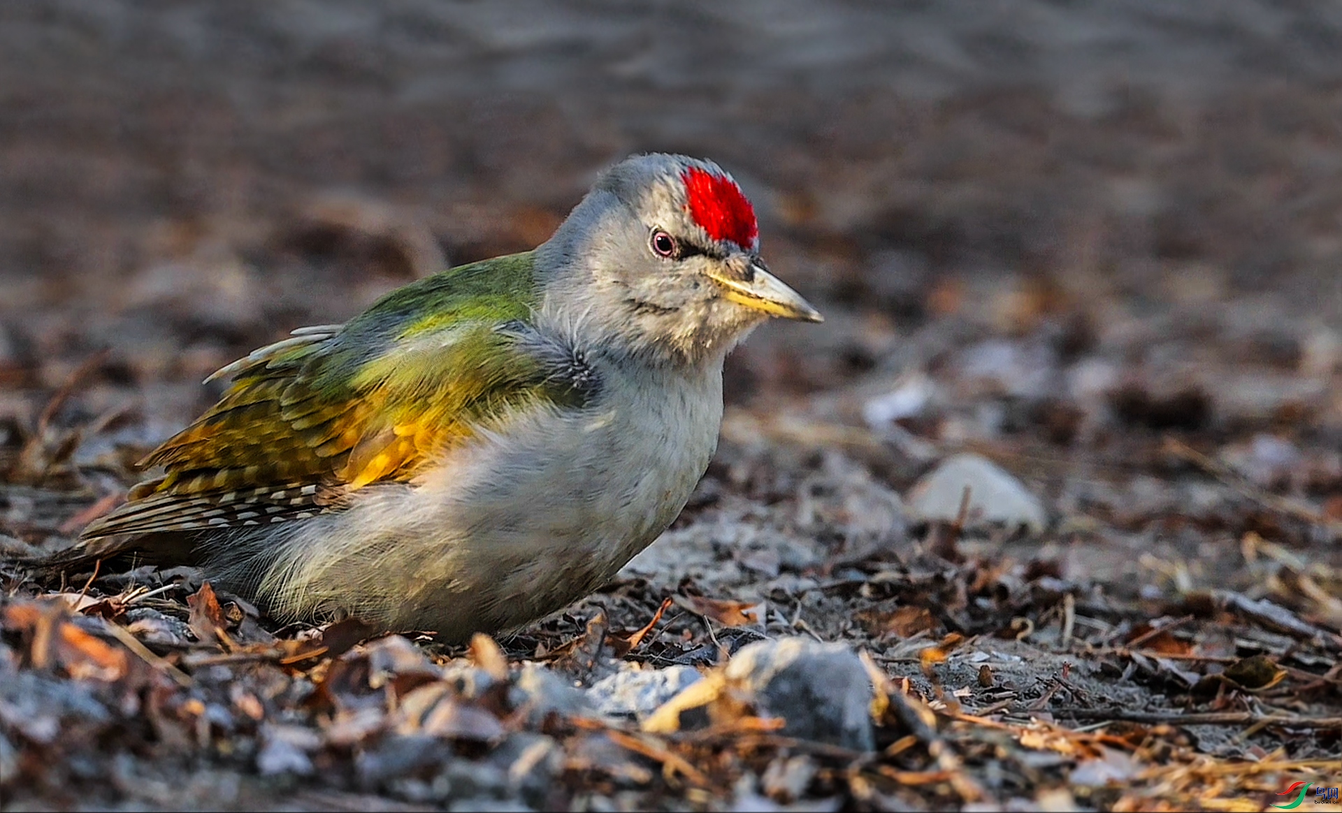 2��4�� (4)(12)-1.jpg