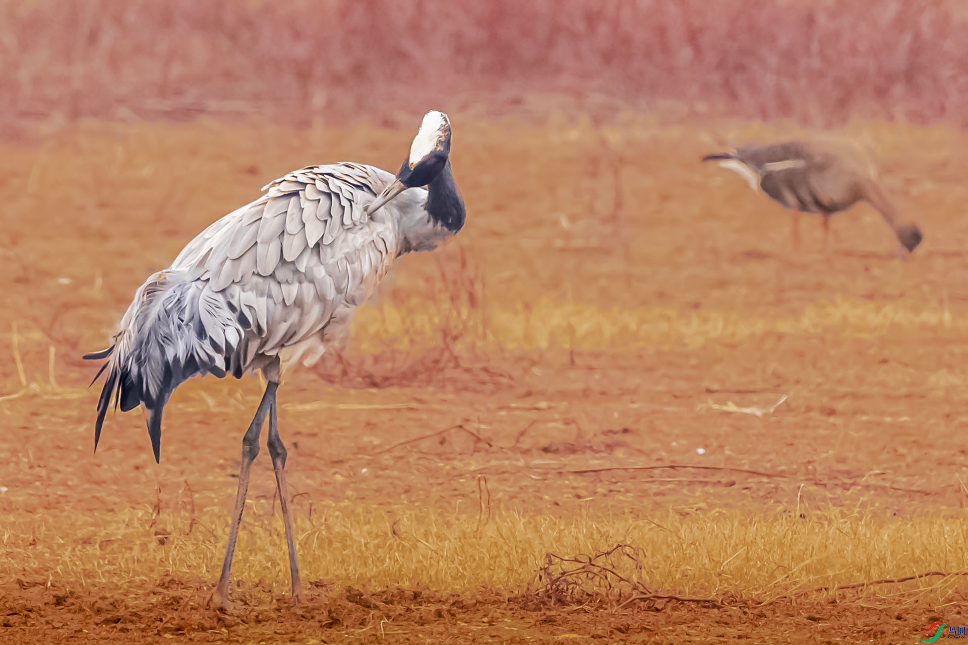 AF3I0512 ����dddddd.jpg