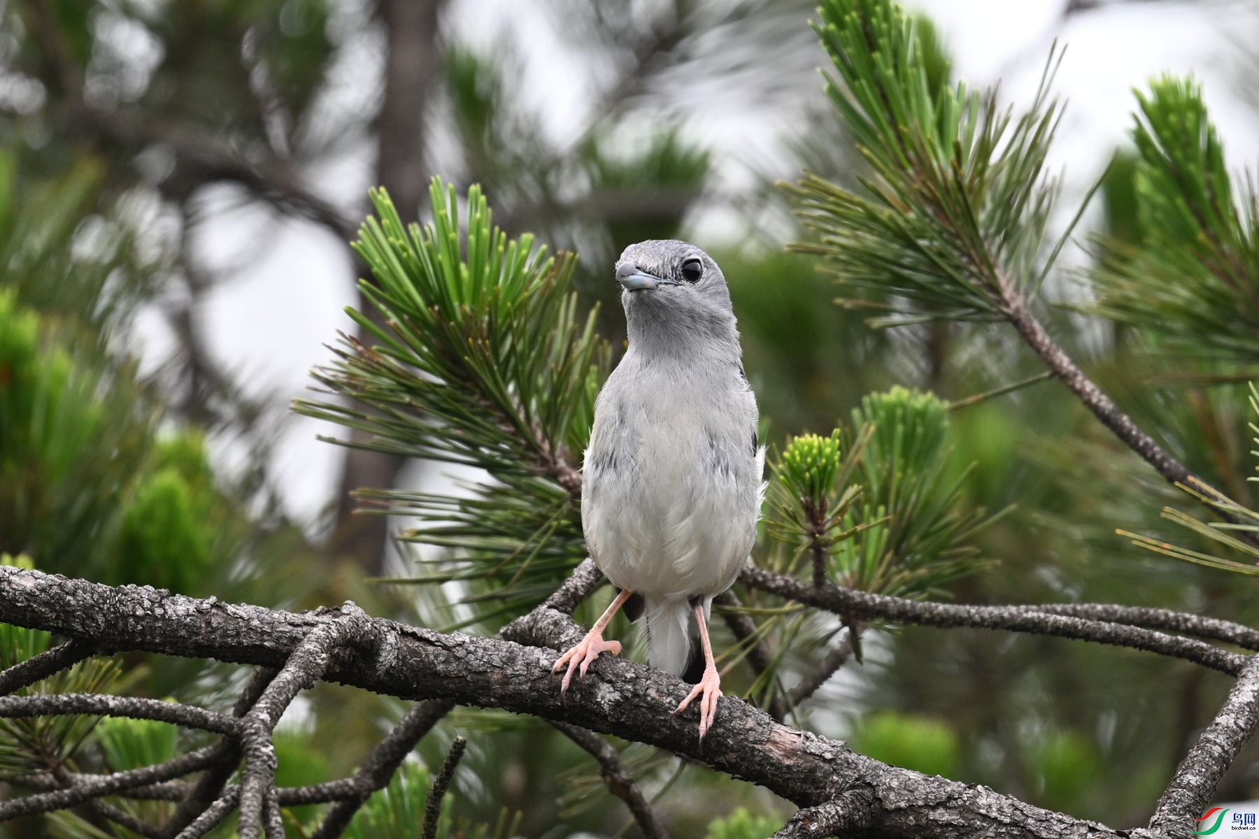 DSC_0728.JPG