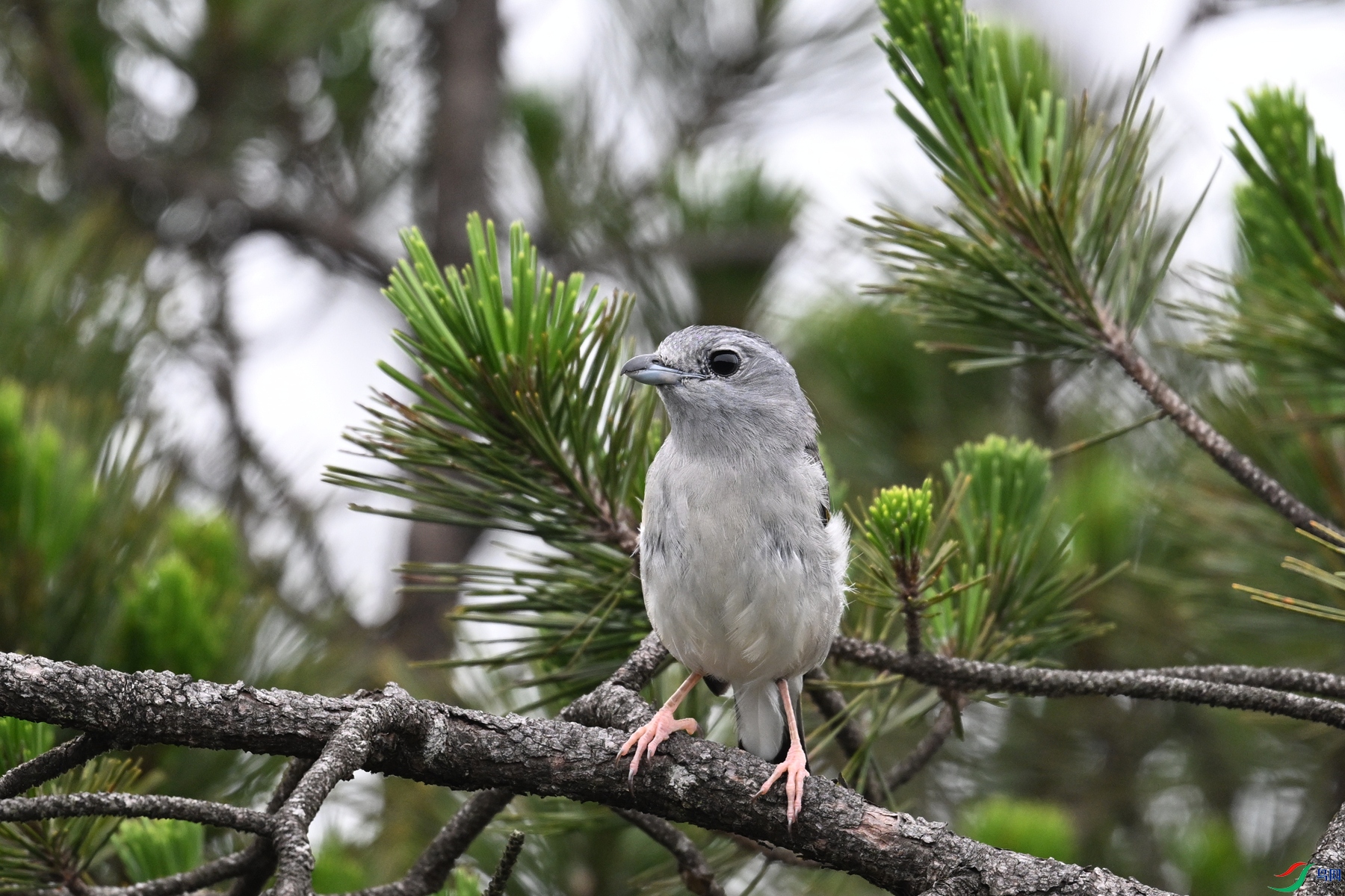DSC_0754.JPG