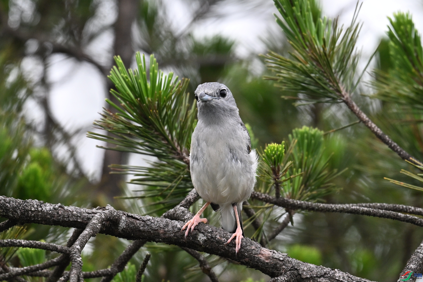 DSC_0736.JPG