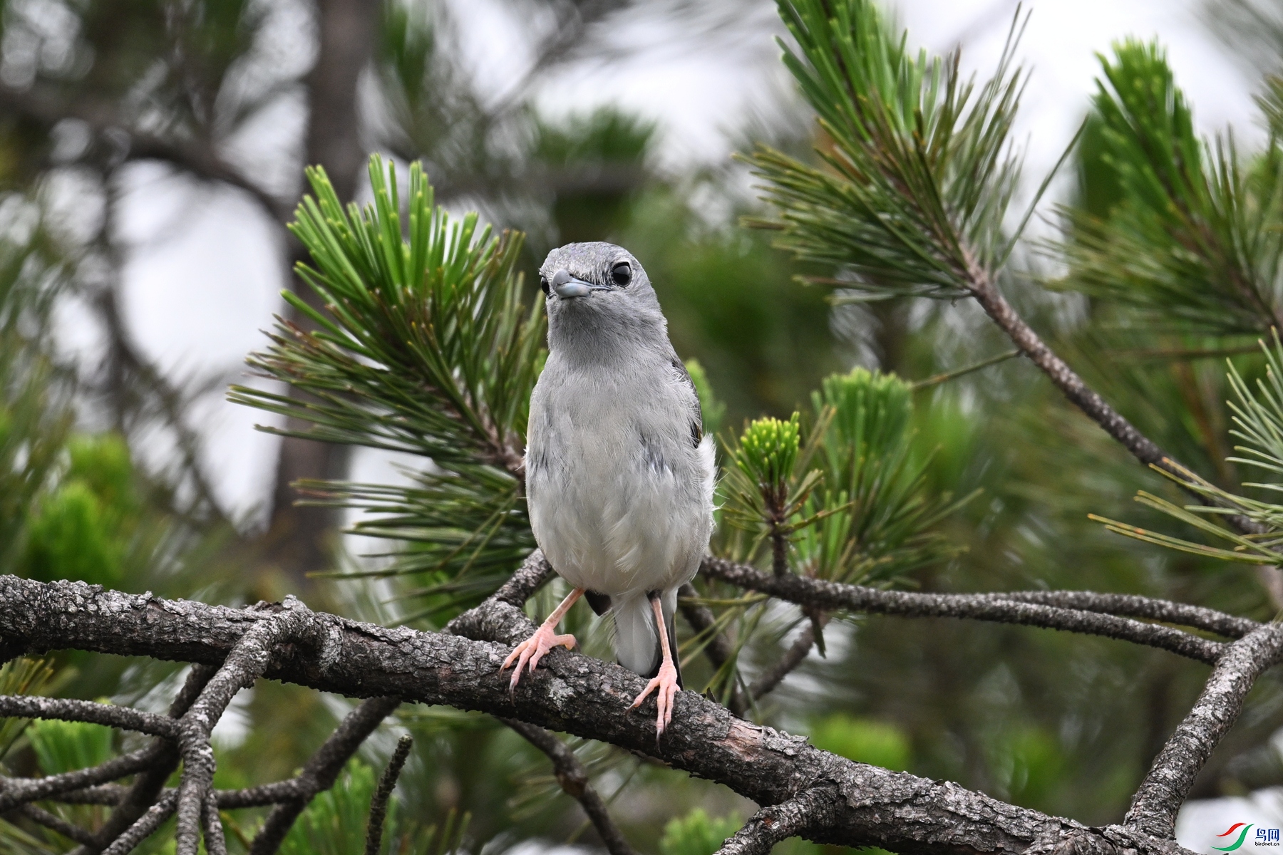 DSC_0738.JPG