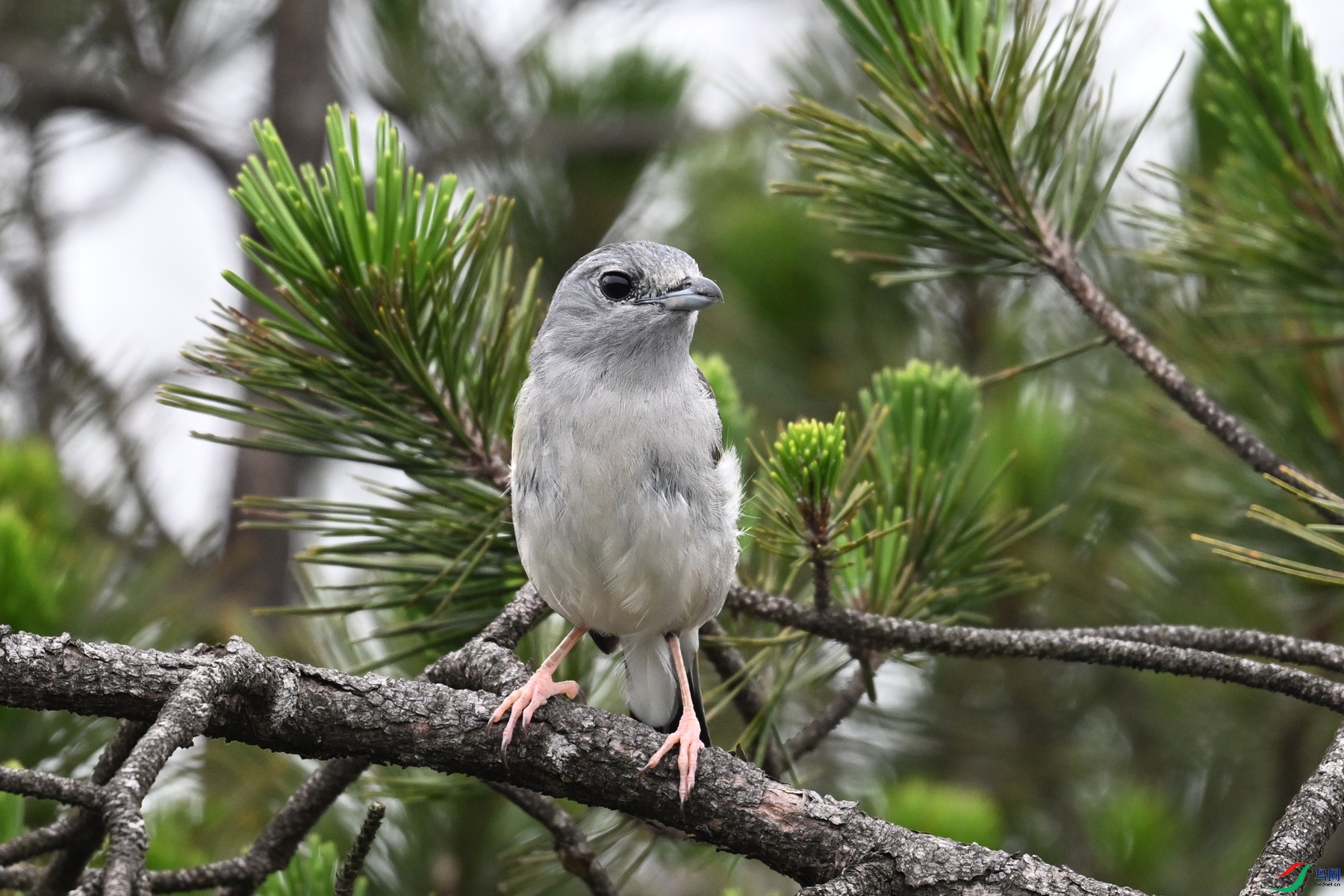DSC_0741.JPG