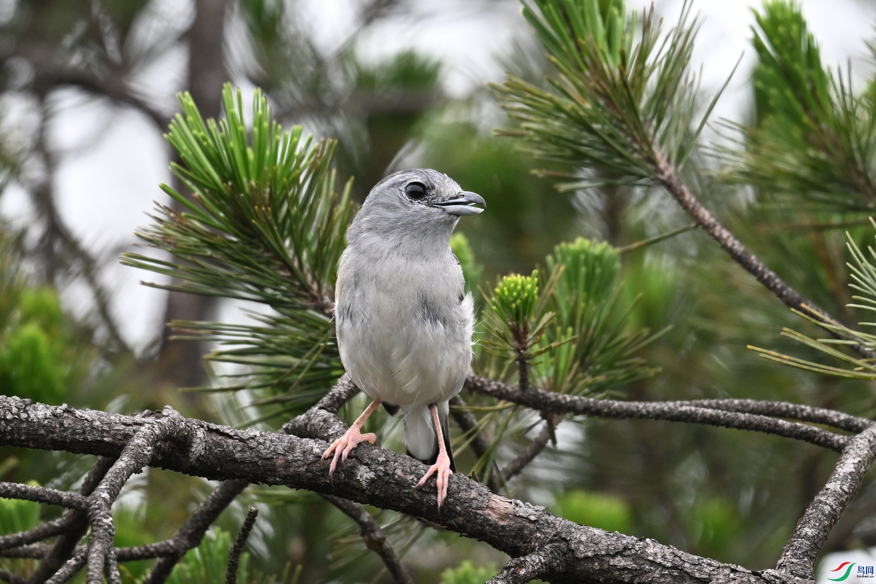 DSC_0744.JPG