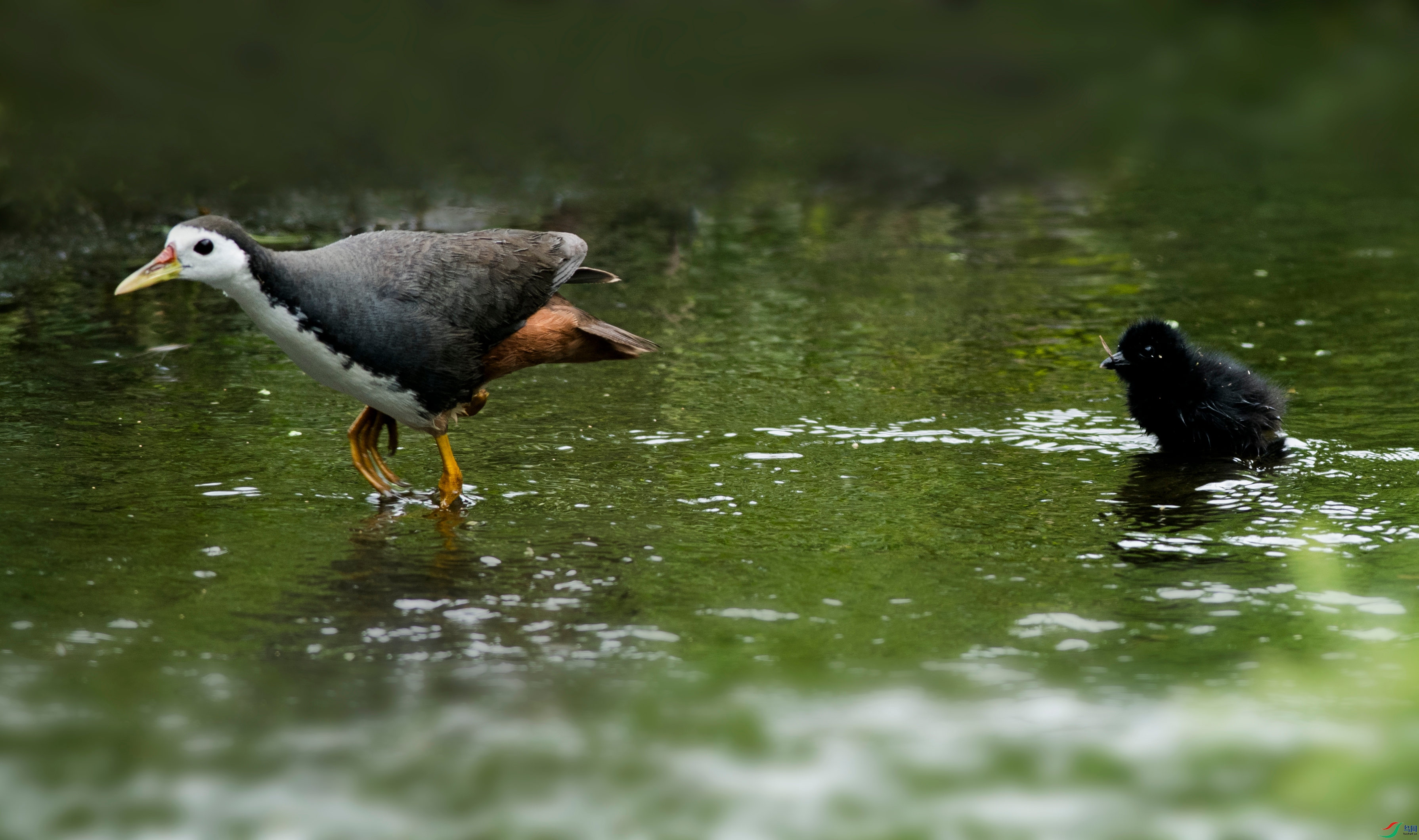 DSC_9023_����.jpg
