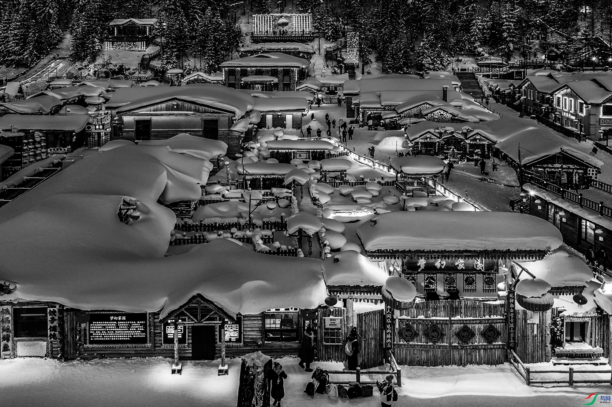DJI_20260117064818_0761_D-3-1-1.jpg