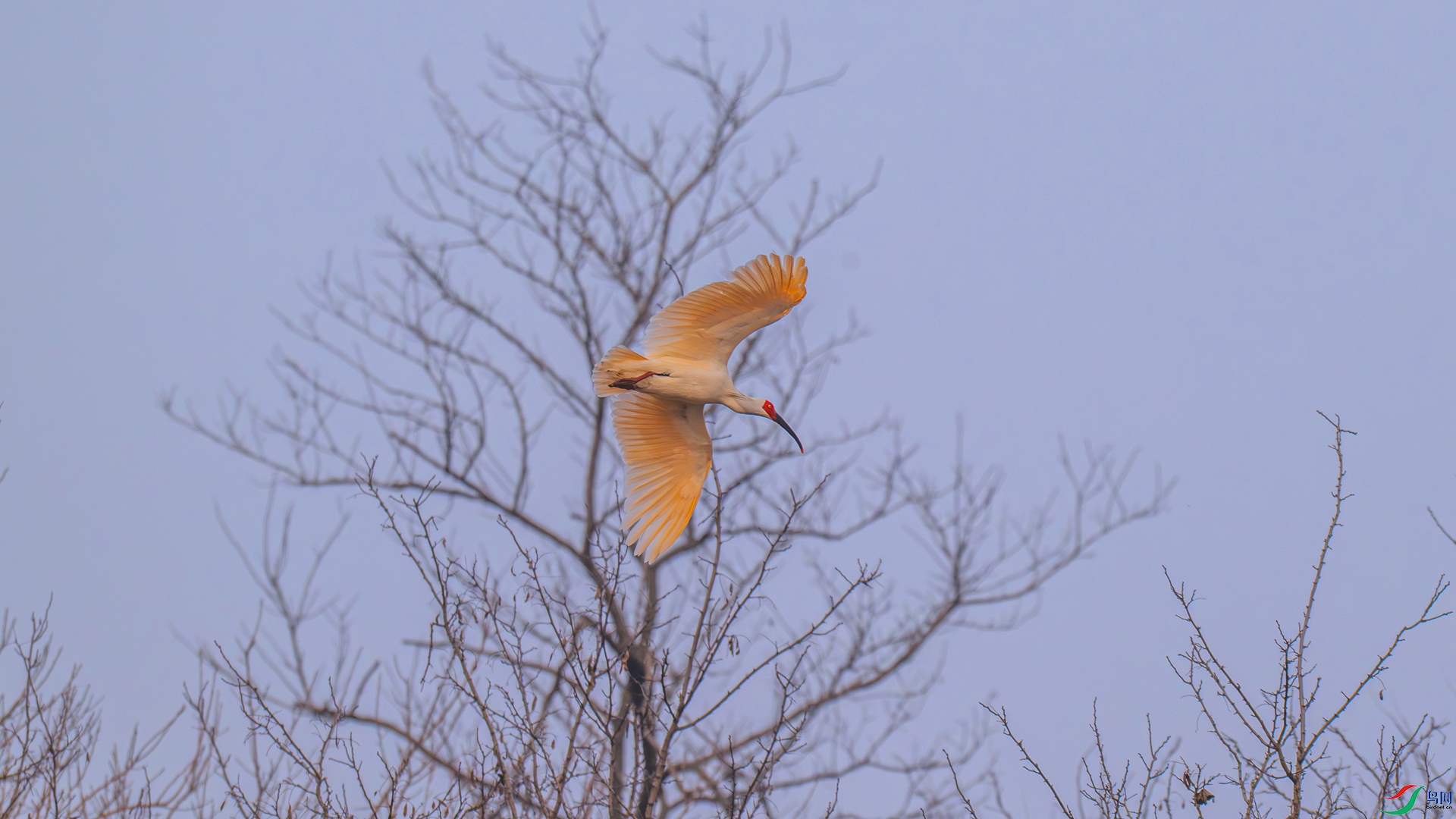 DSC_9184 ����_����.jpg