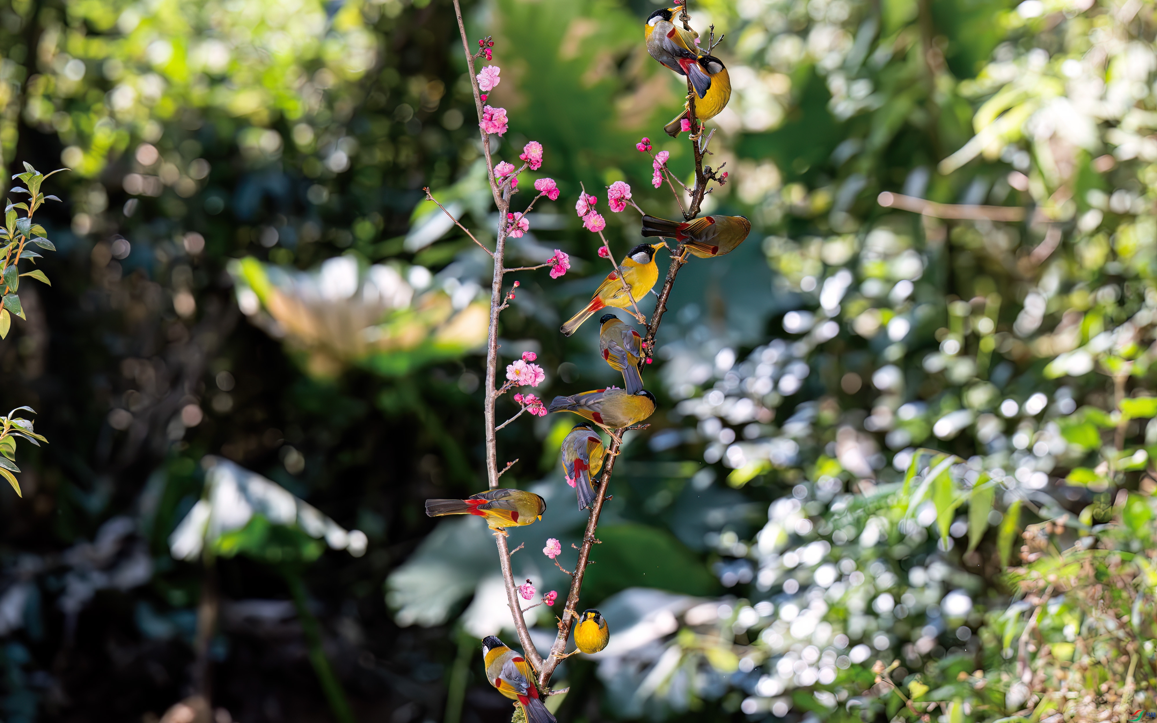 DSC_0802.jpg