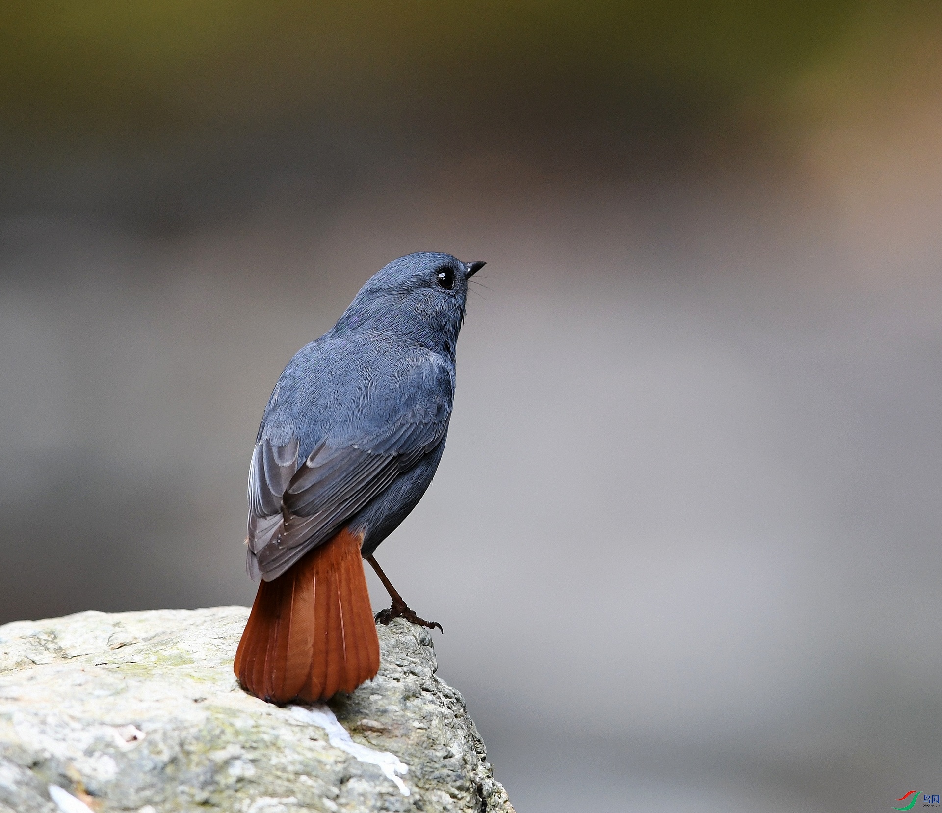 DSC_2351.jpg