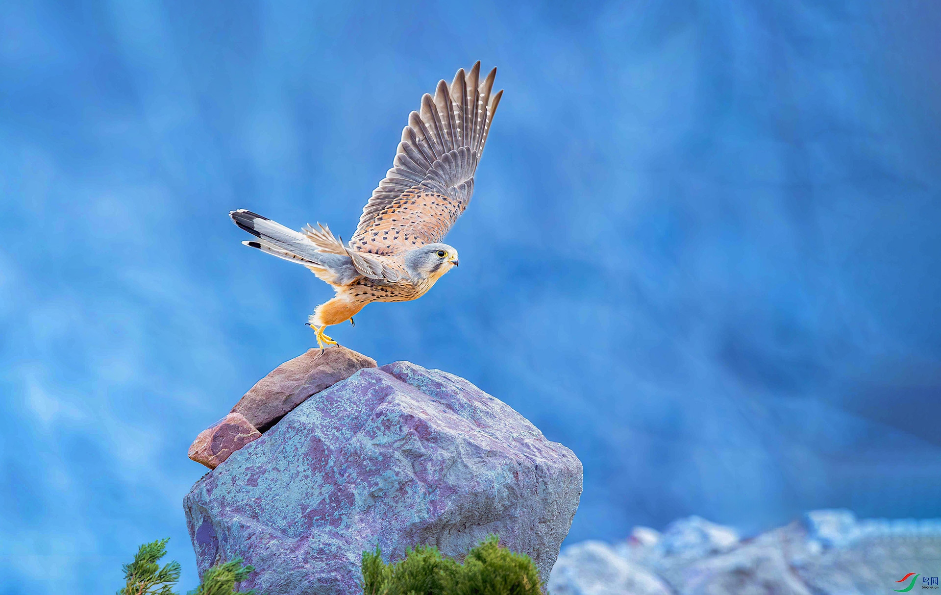 L25_9918���� ����.jpg