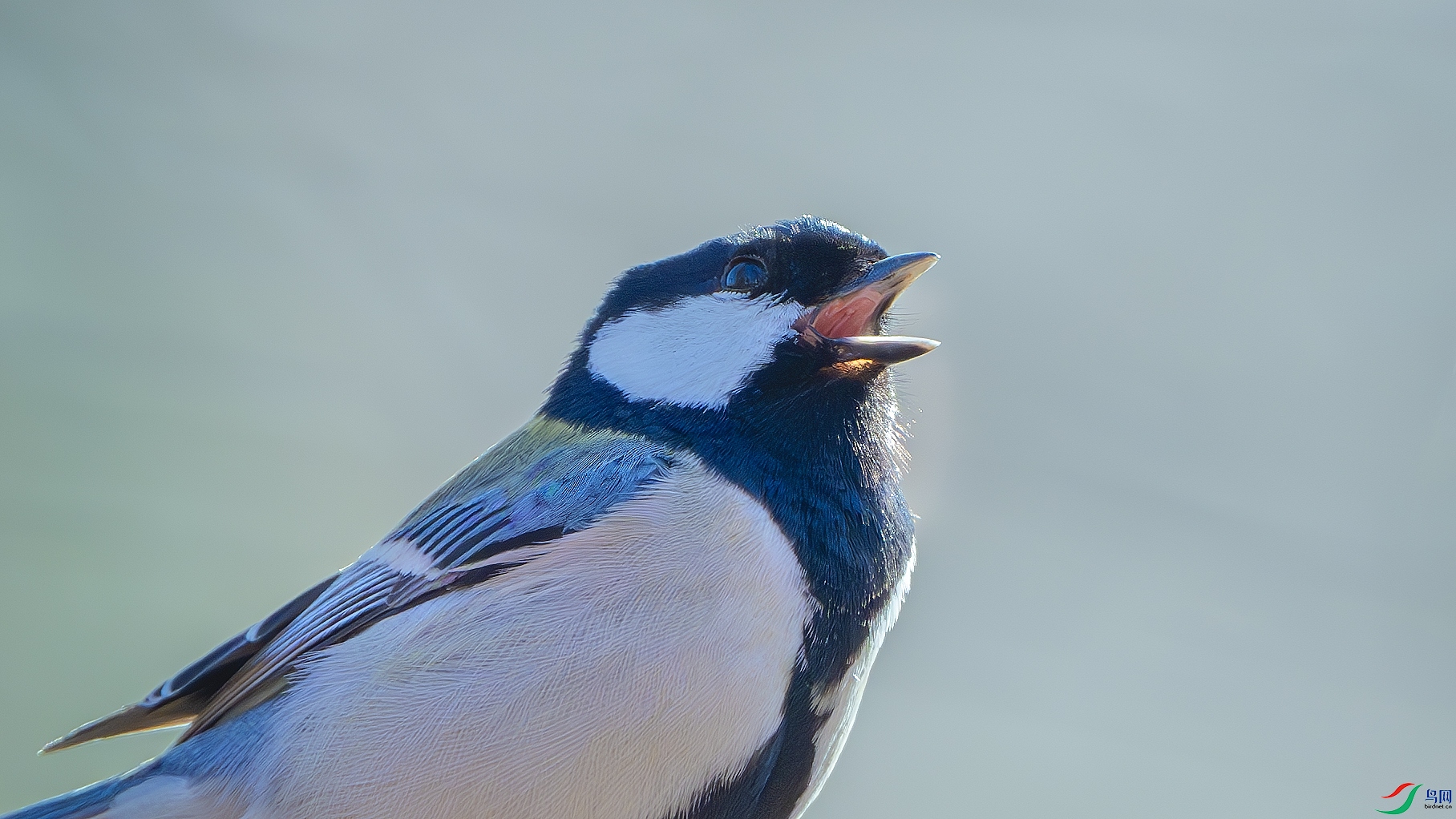 DSC_4902.jpg