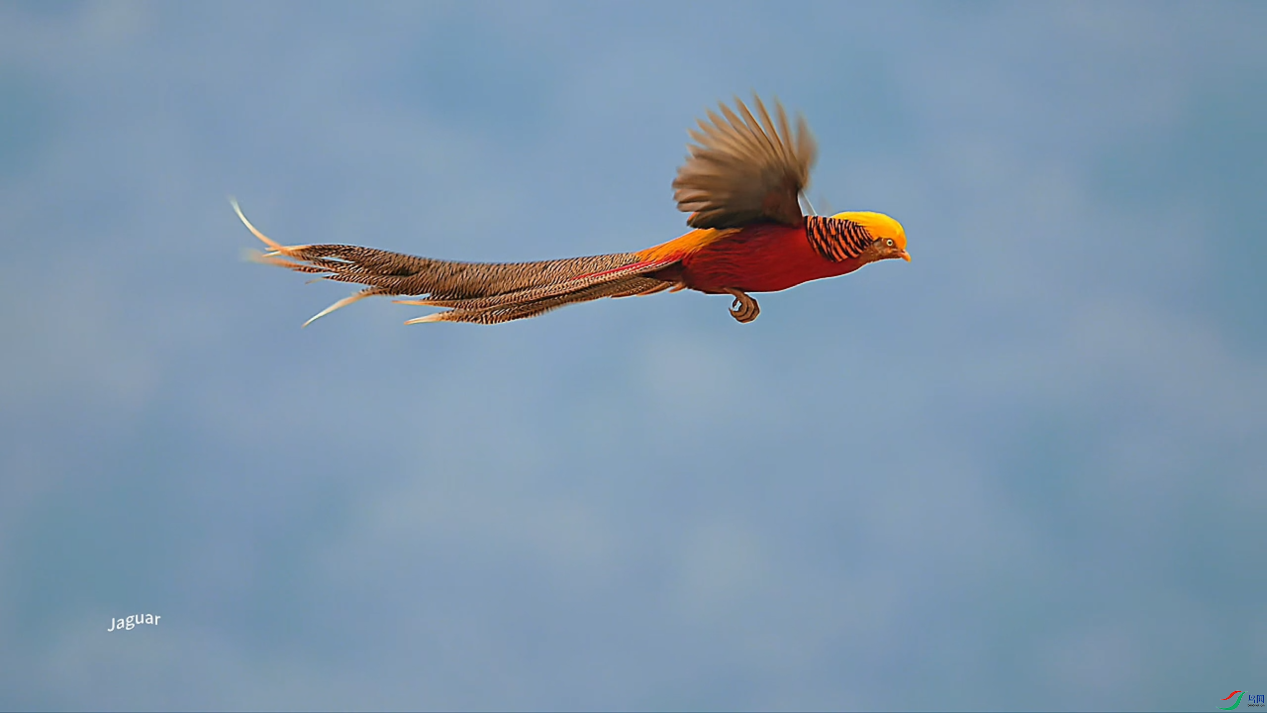 2��6�� (3).png