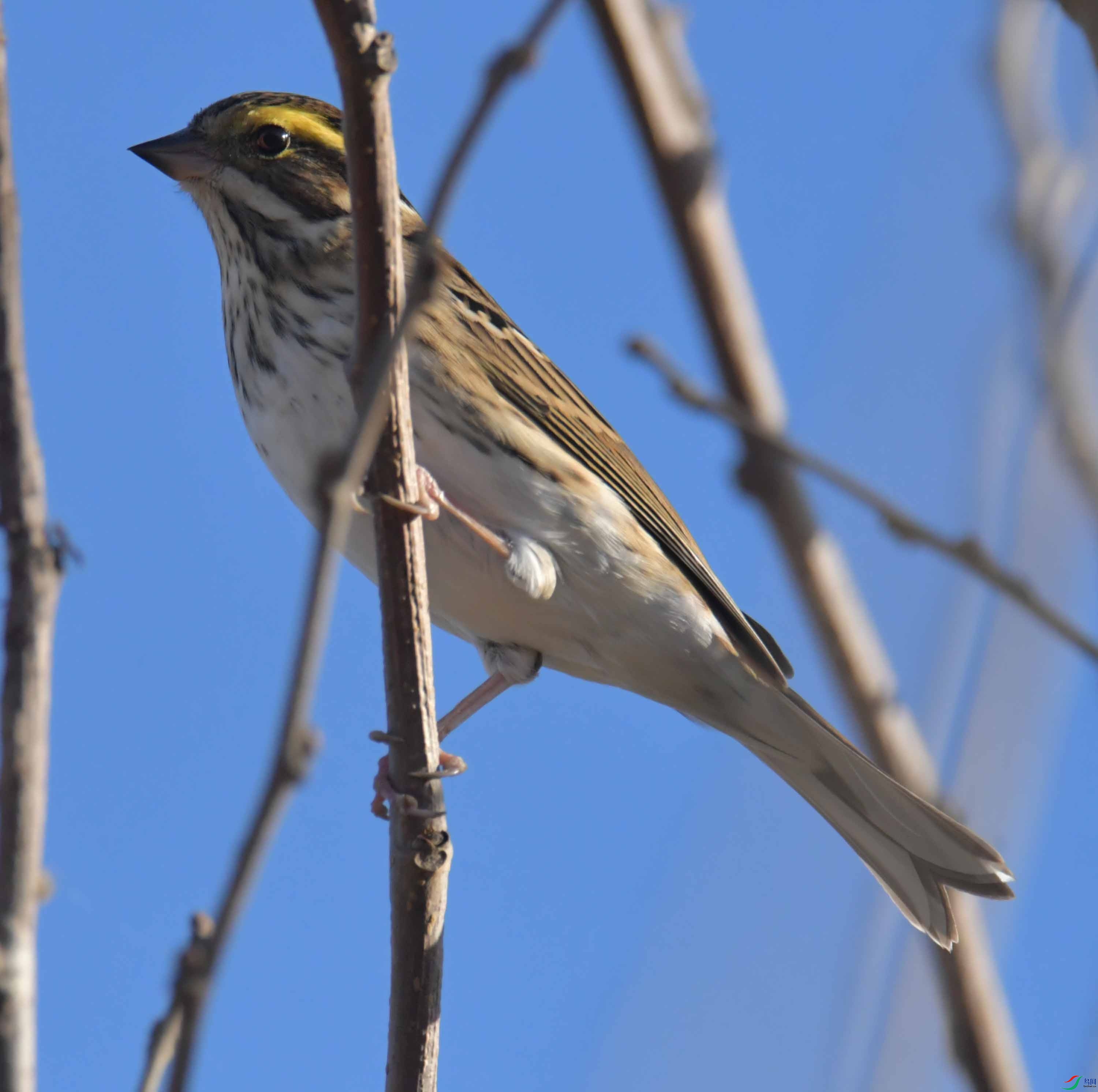 DSC_2080.JPG