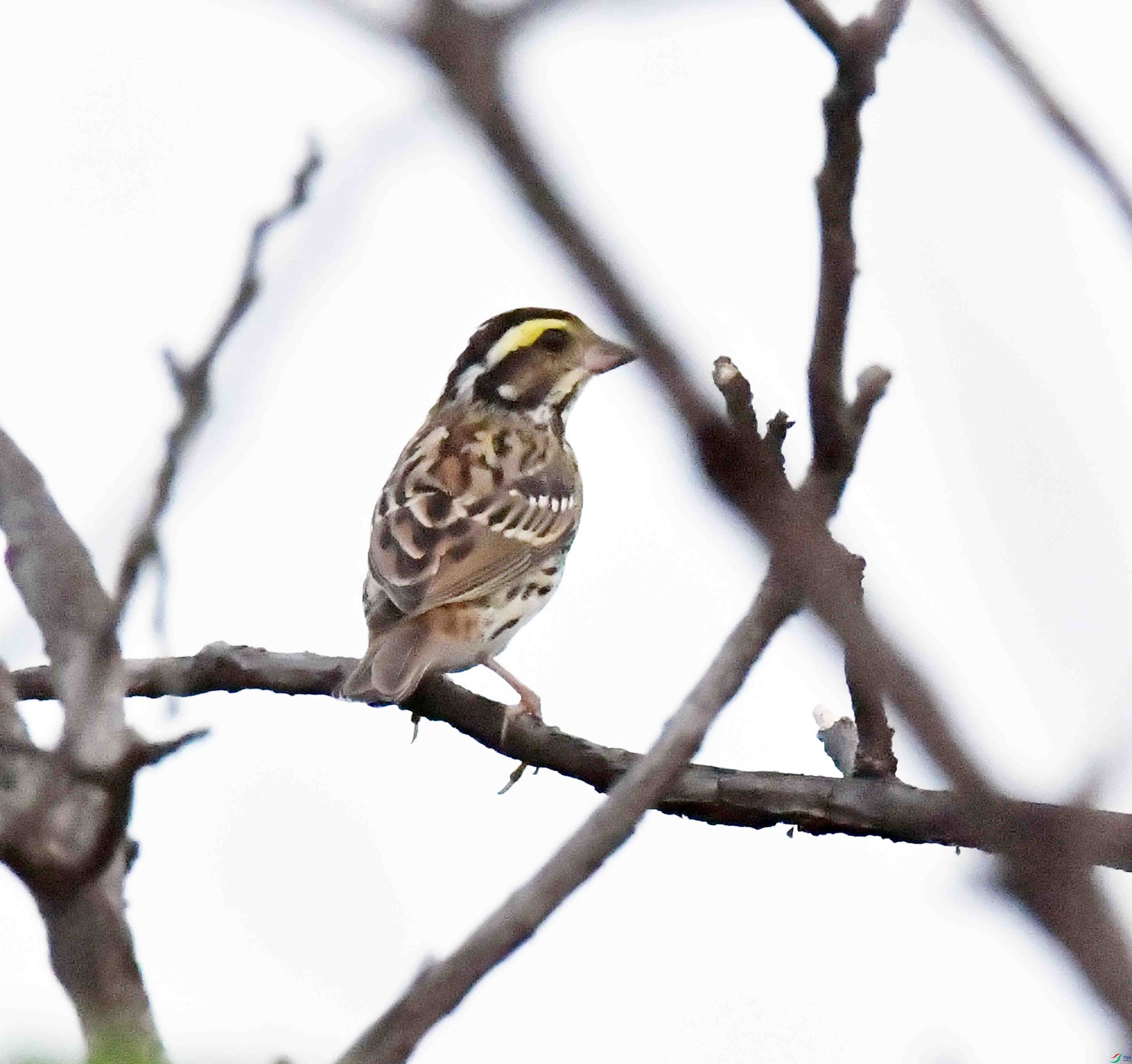 DSC_5984.JPG