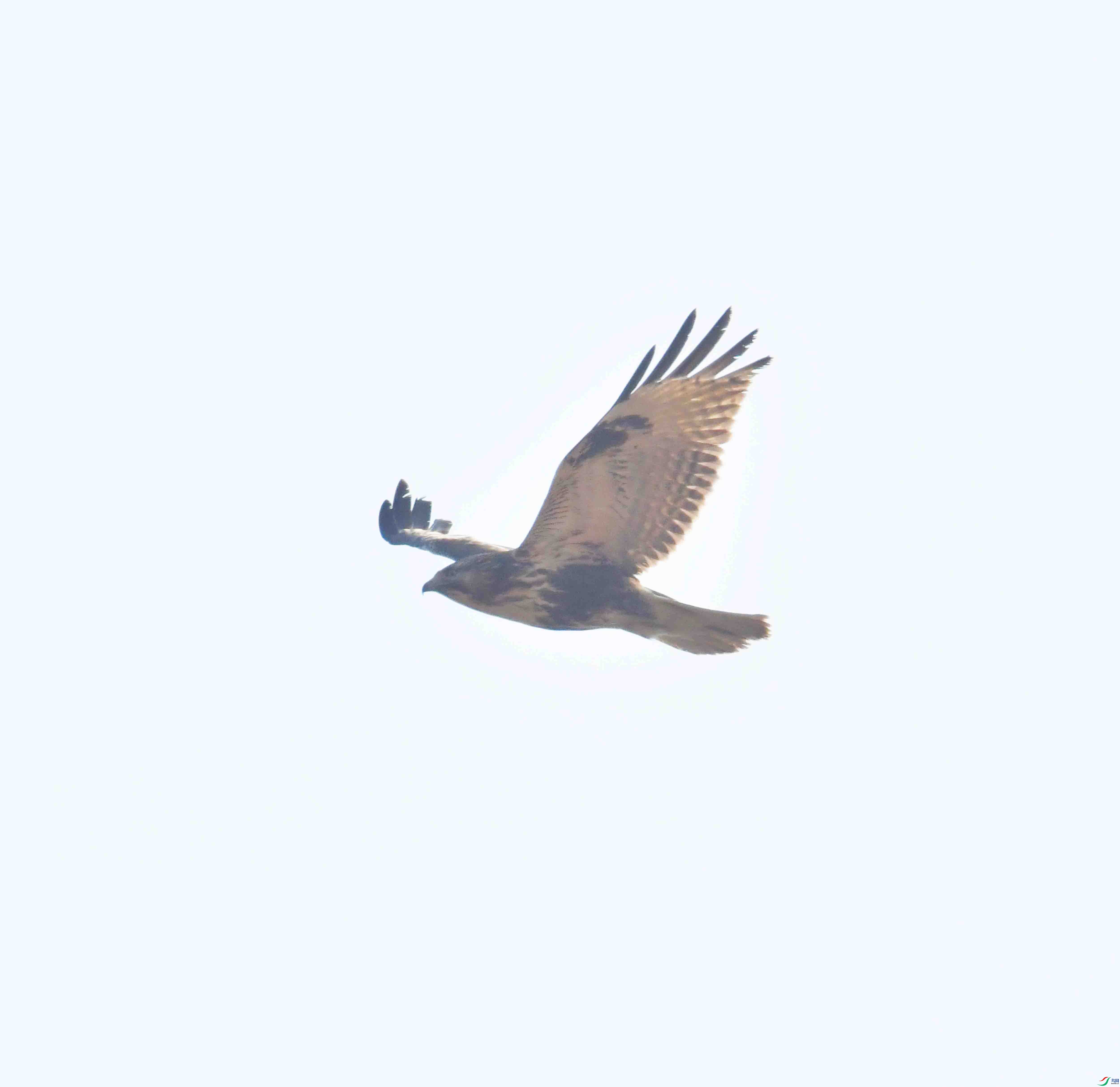 DSC_6942.JPG