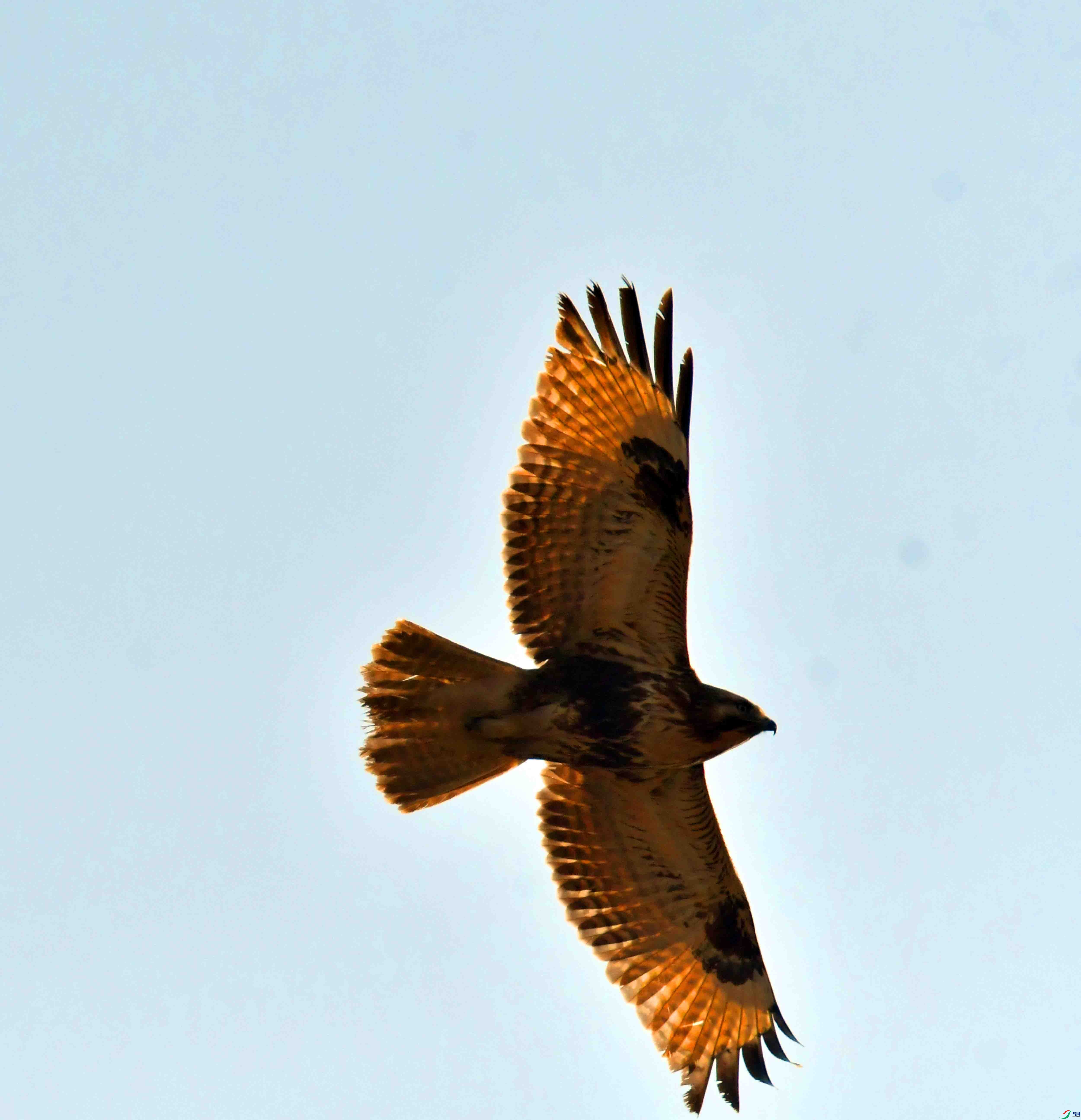 DSC_6960.JPG