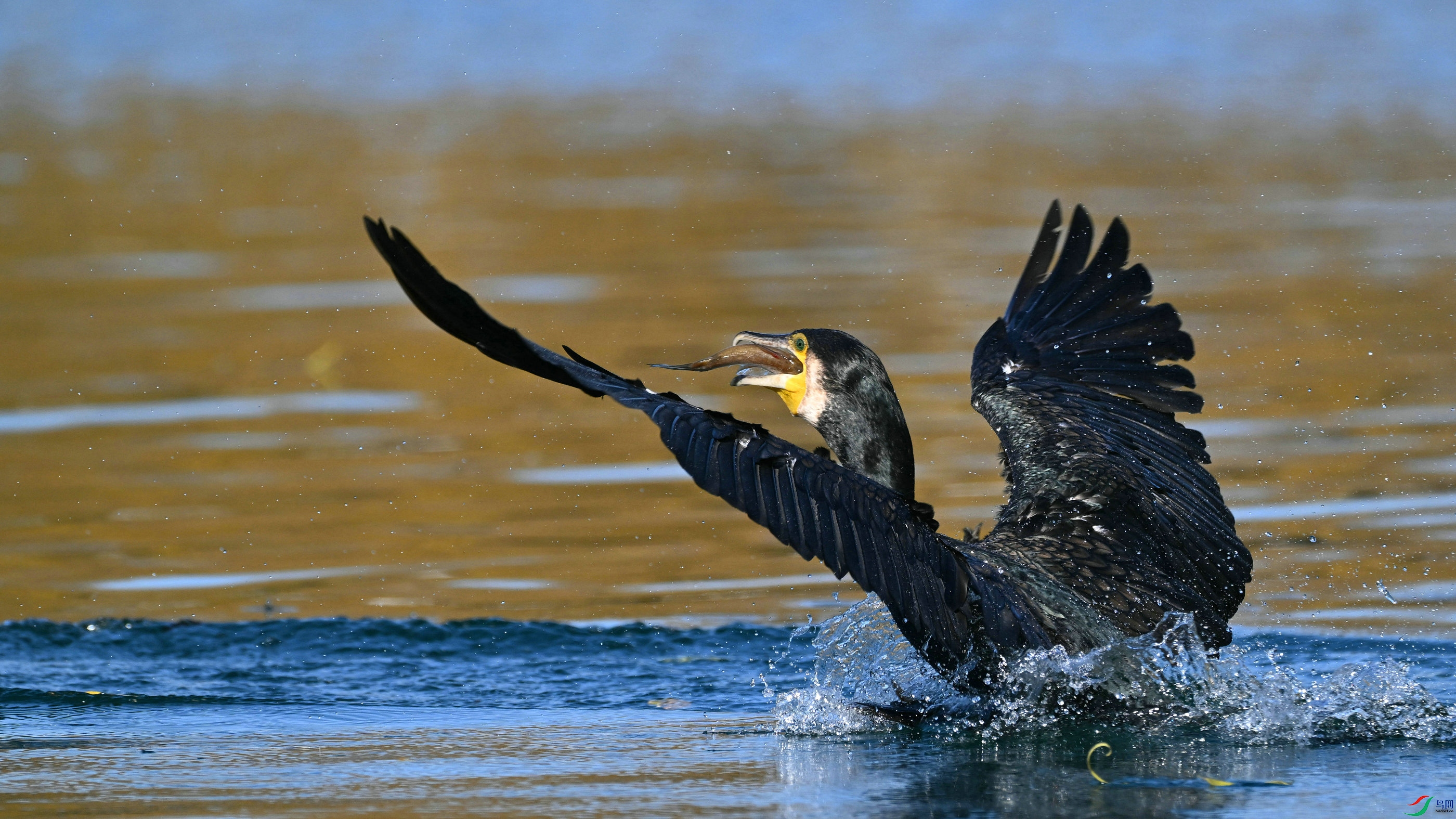 DSC_8763.JPG