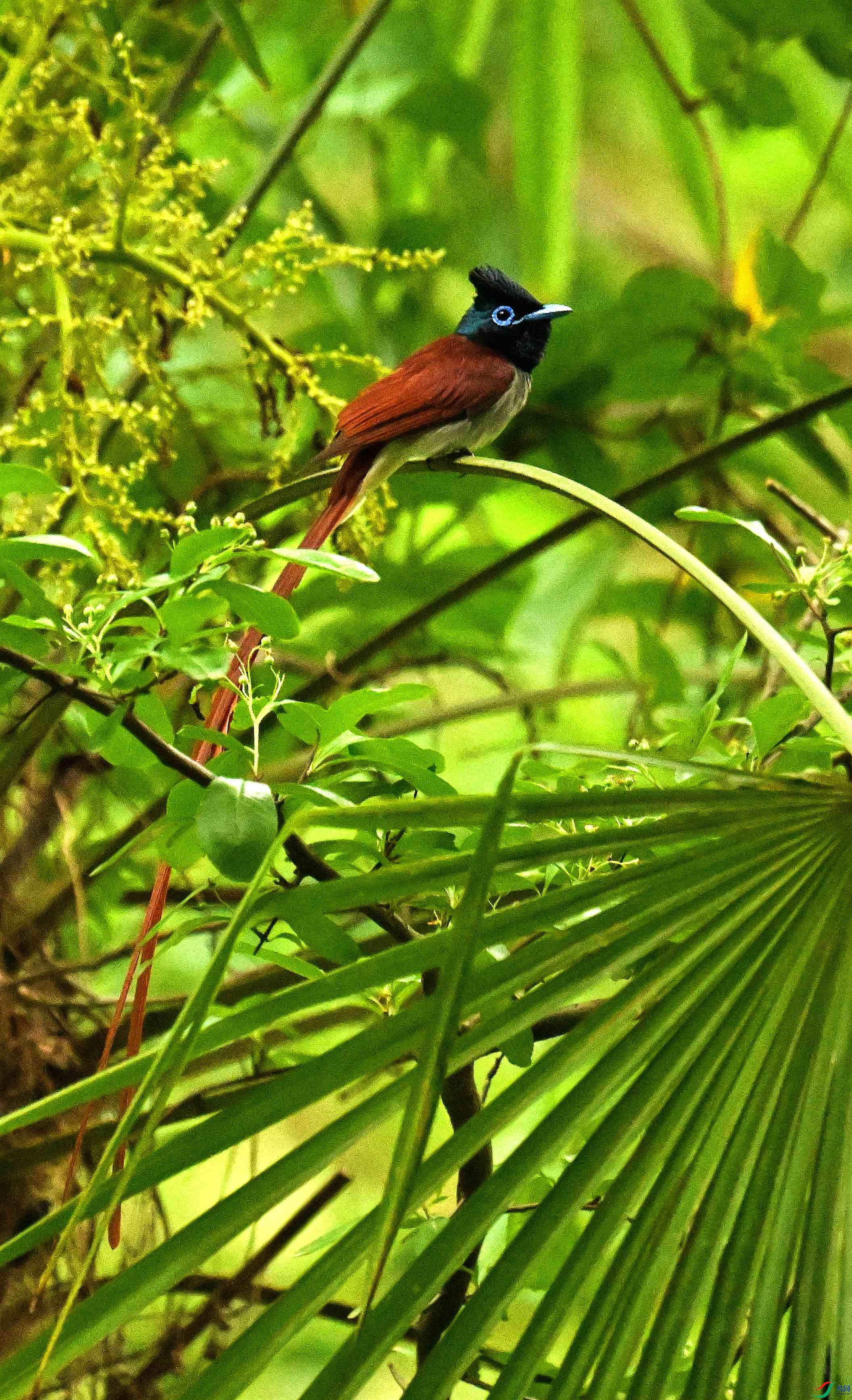 DSC_5372.JPG