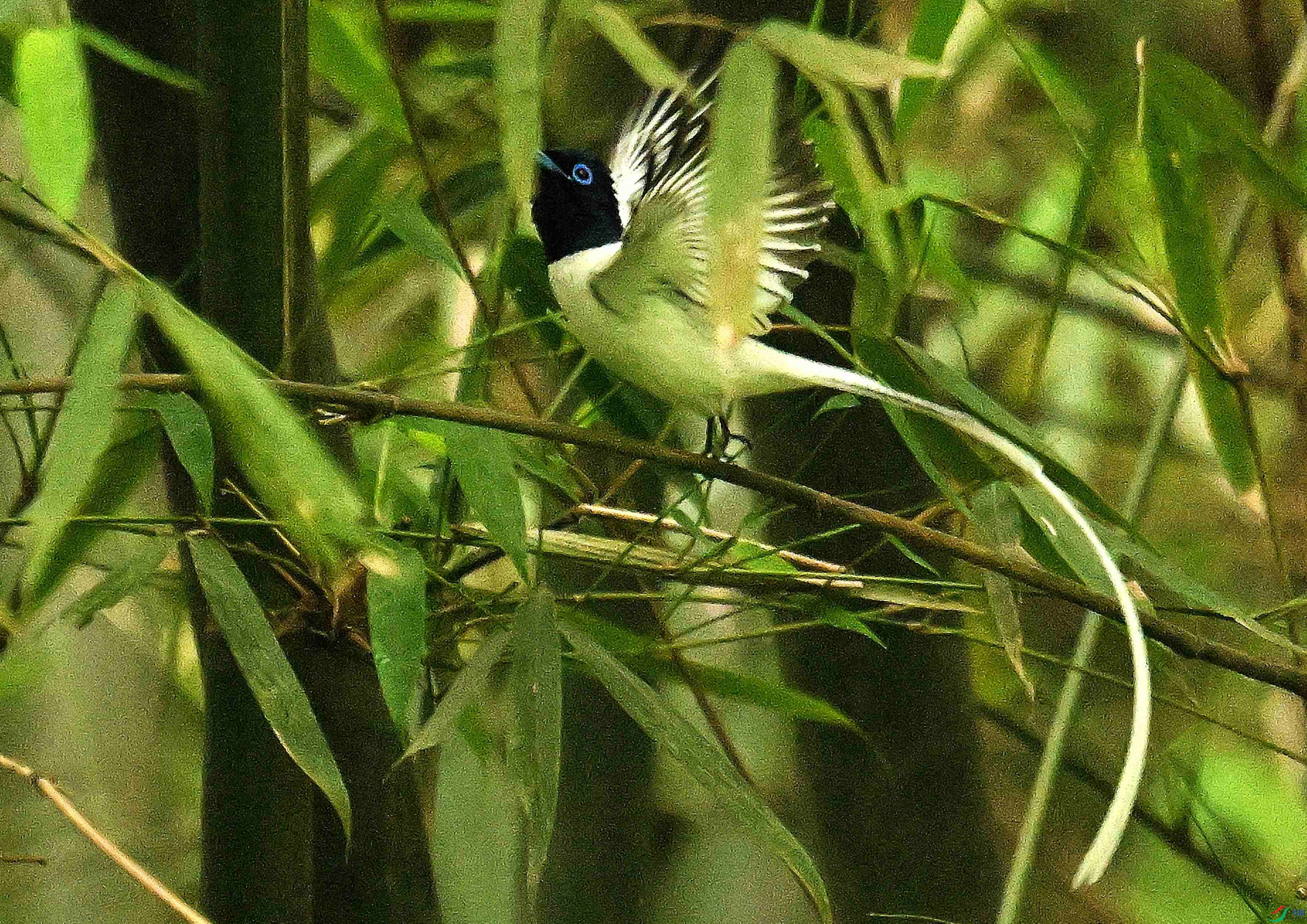 DSC_5877.JPG