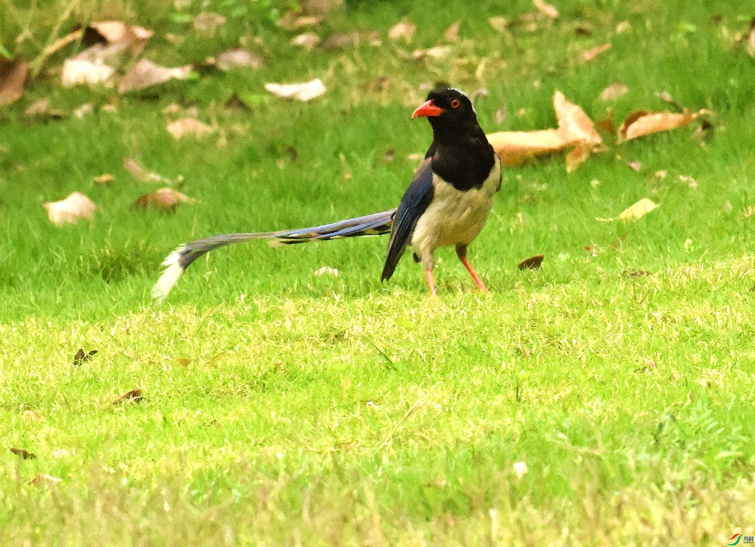 DSC_8027.JPG