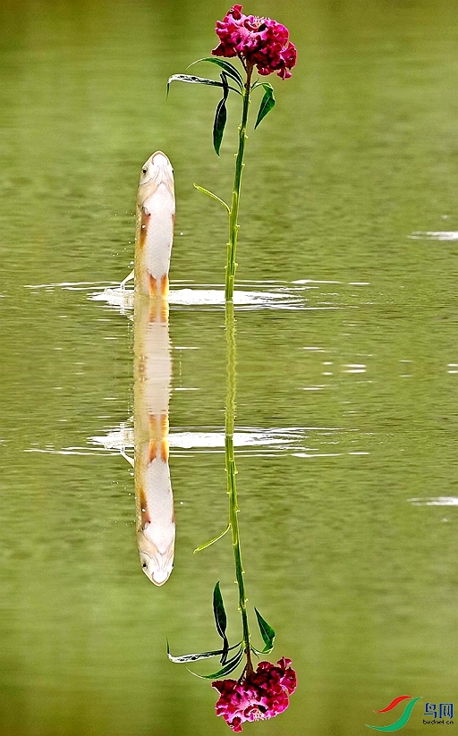 �����˶�Ա