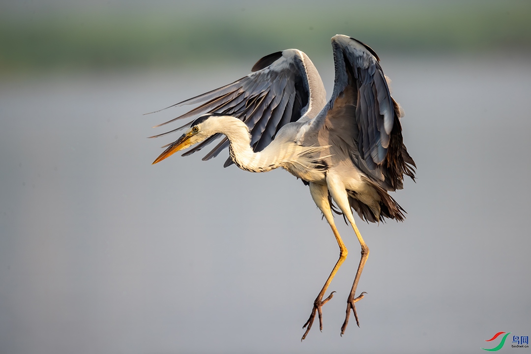 BN5I4982 ���� 2.jpg