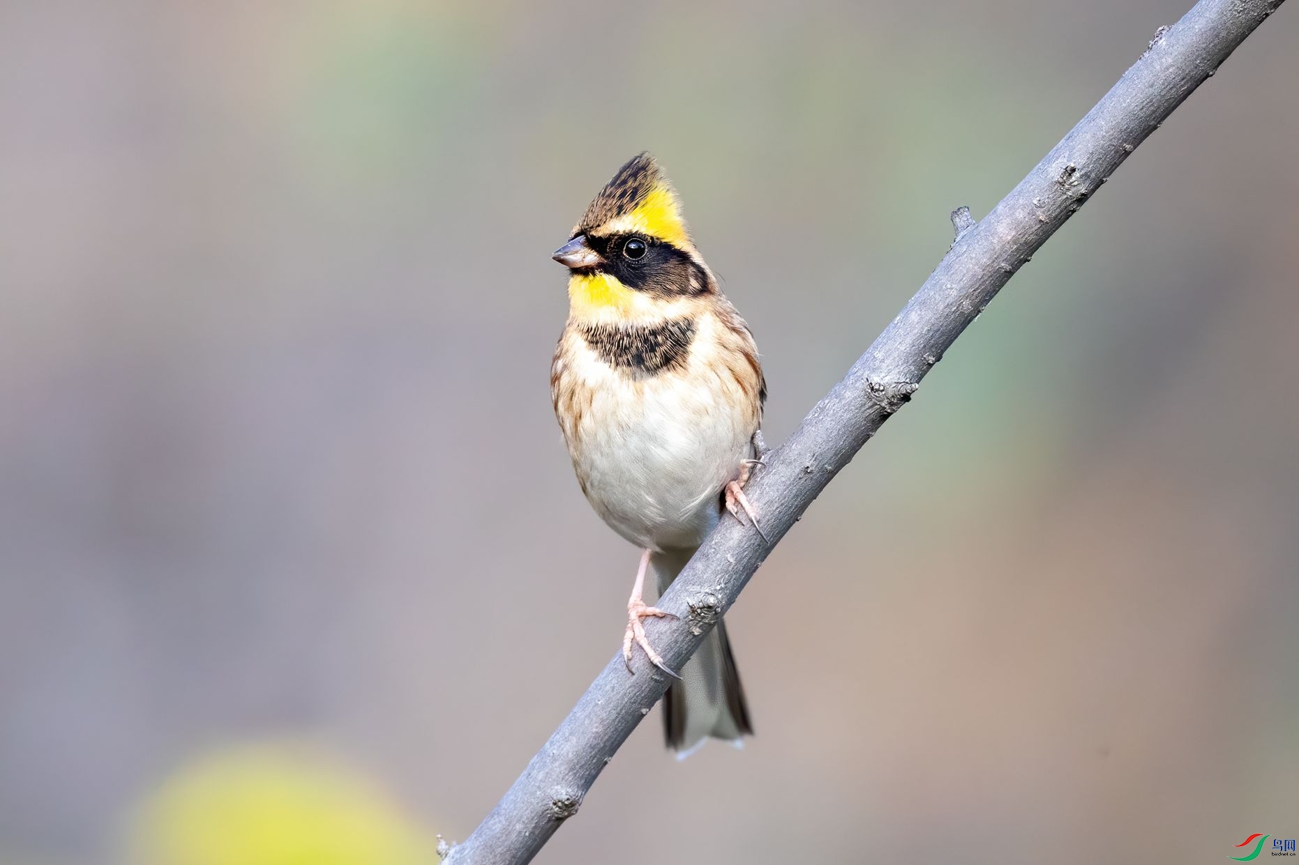 BN5I0221 ����.jpg