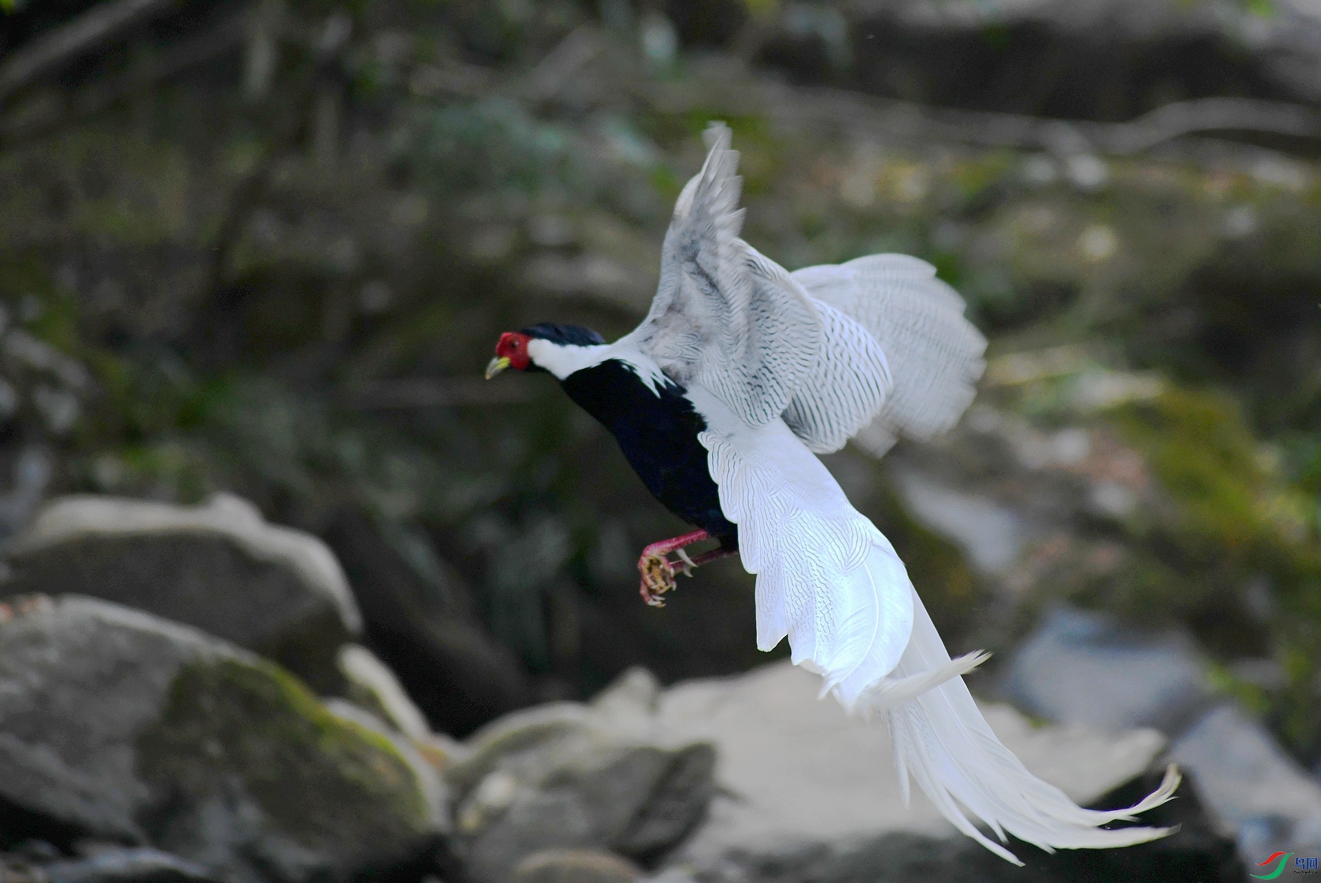 DSC_9838.jpg