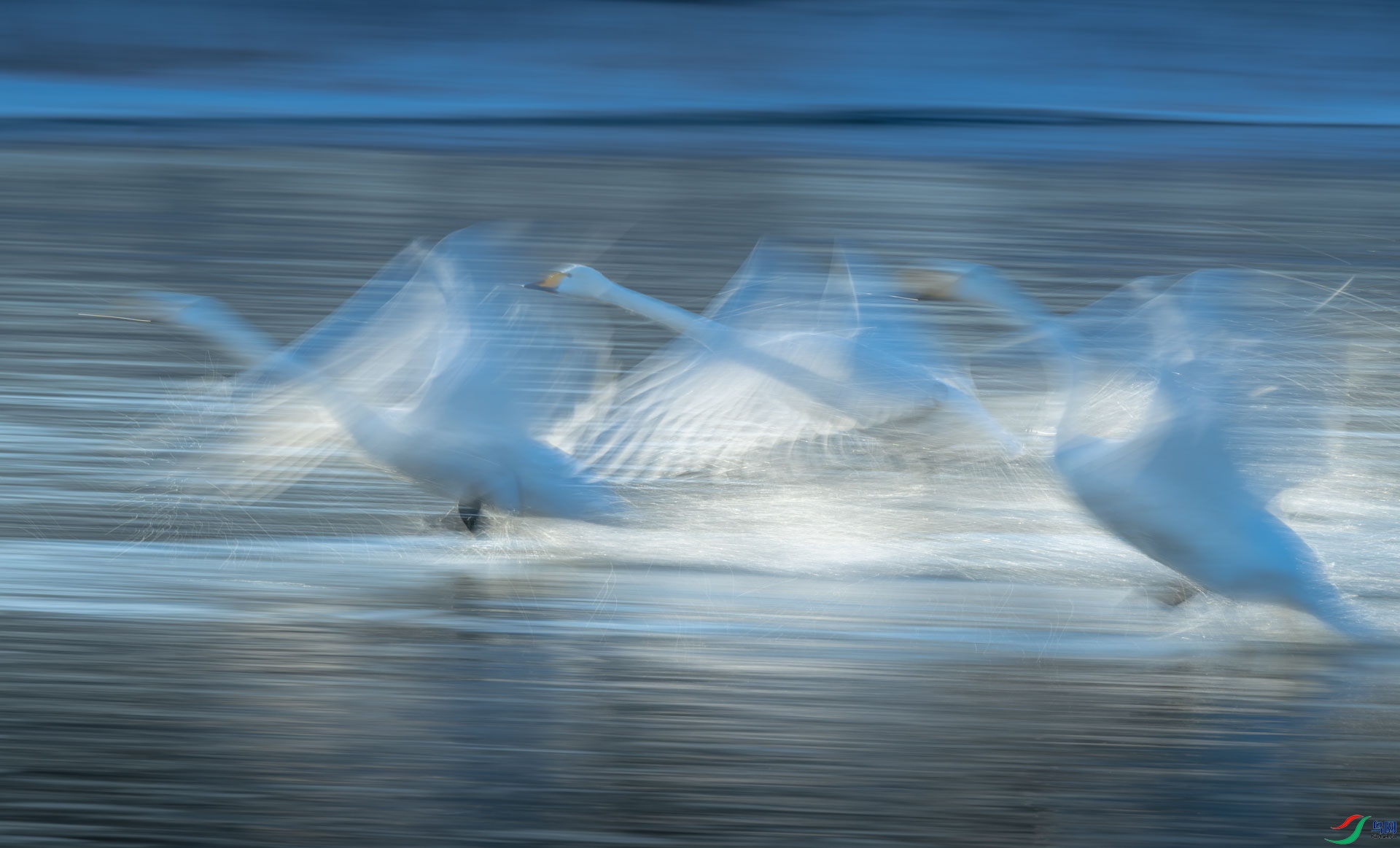 DSC_5727.jpg