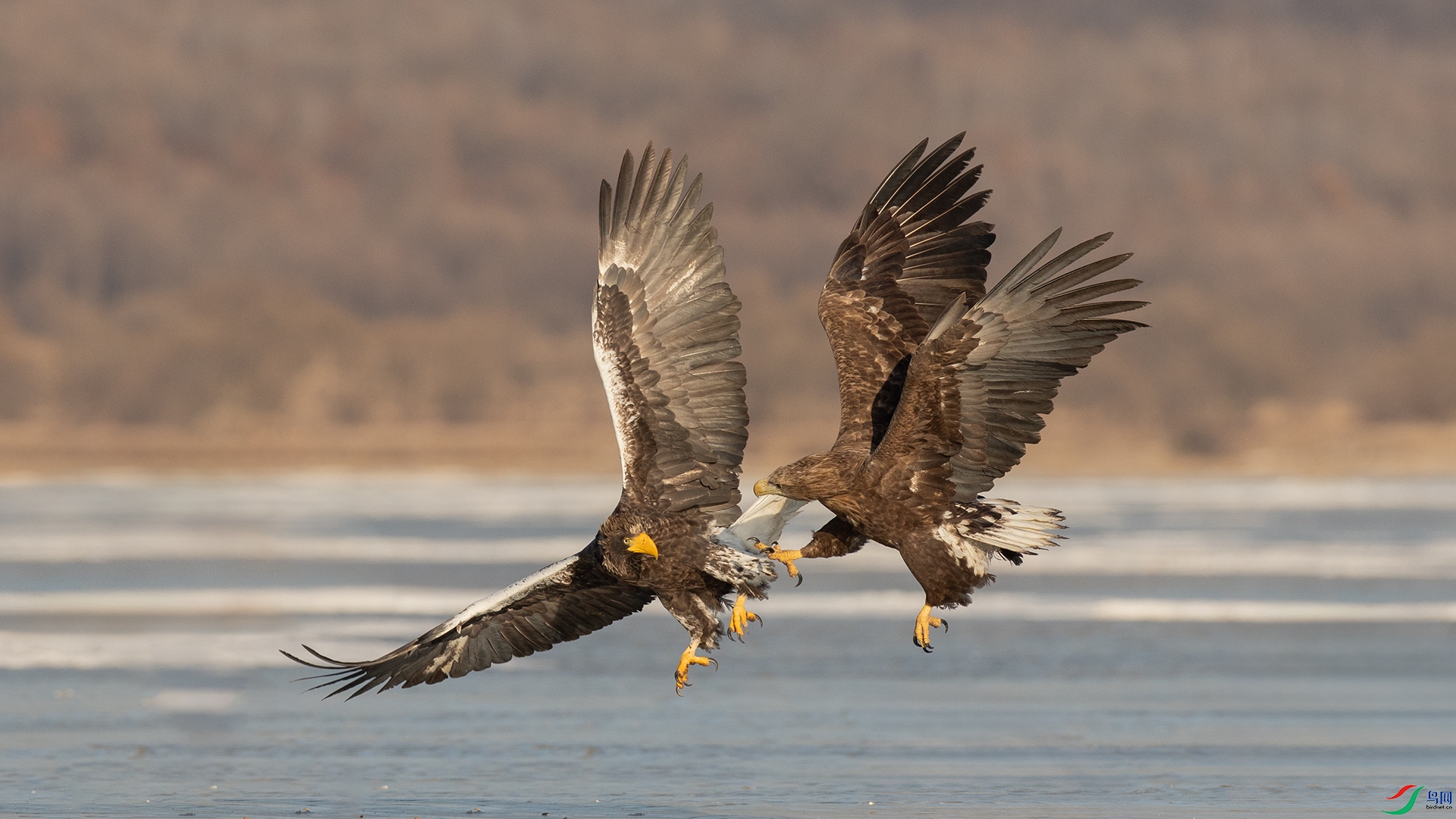 IMG_6658 ����.jpg