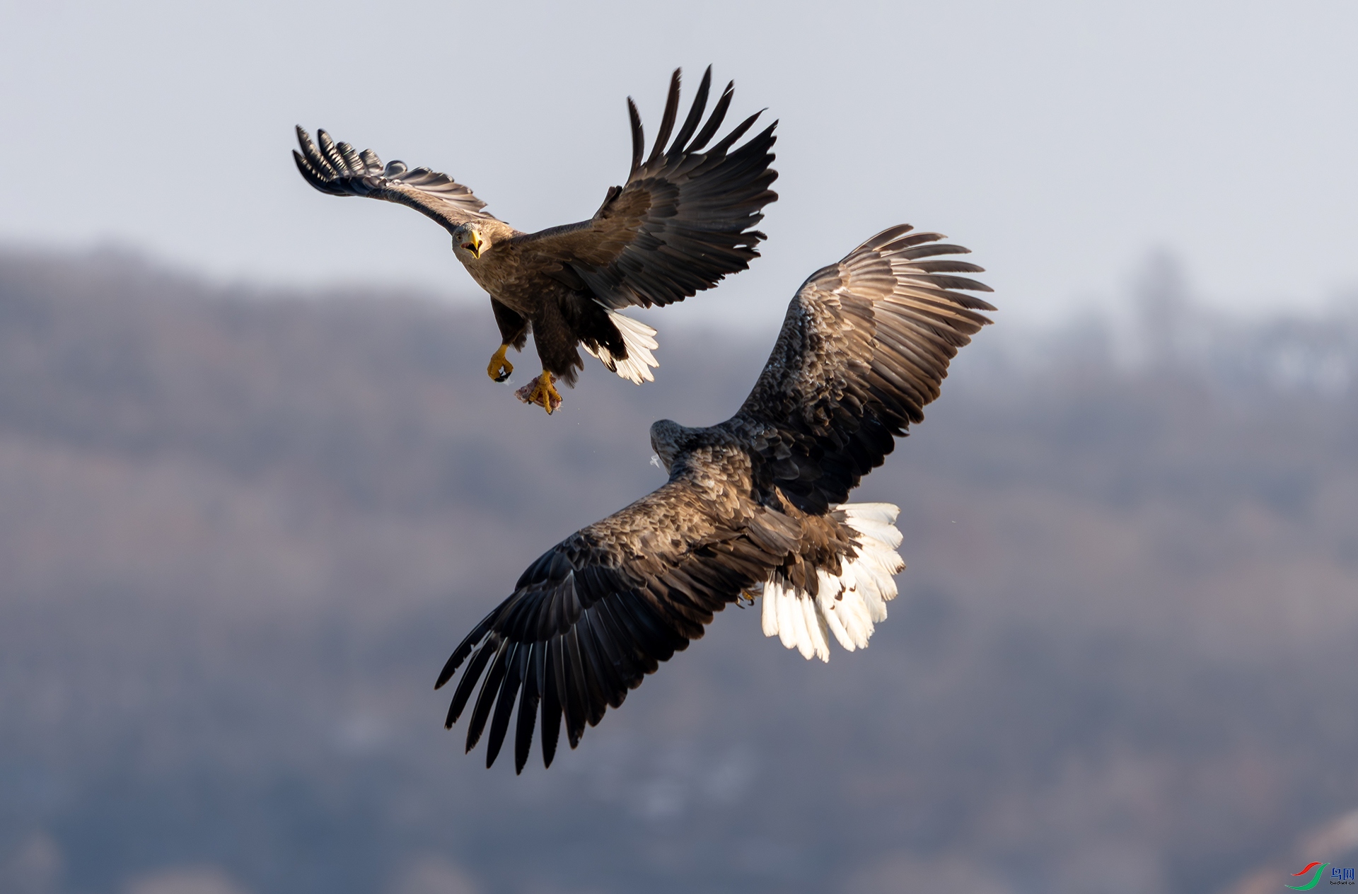 DSC00038 ���� 2.jpg