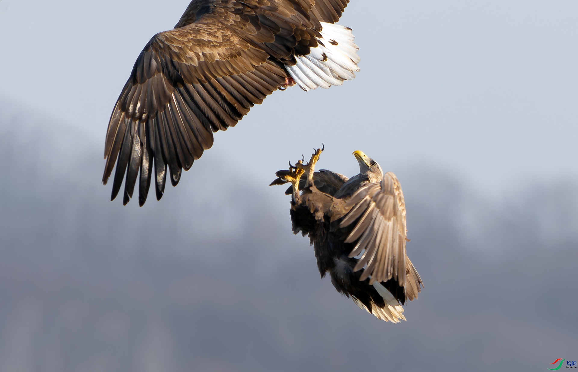 DSC00091 ���� 2.jpg