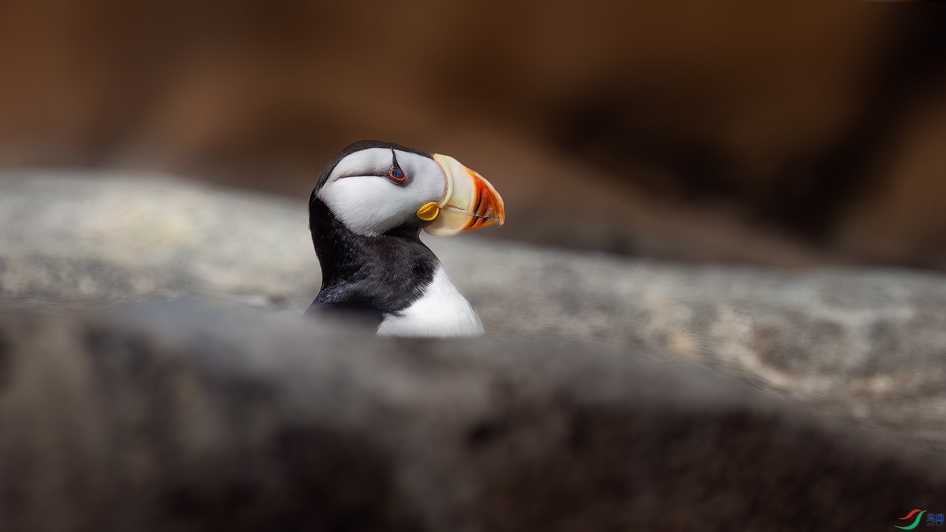 2023-9-3 �Ǻ���.jpg