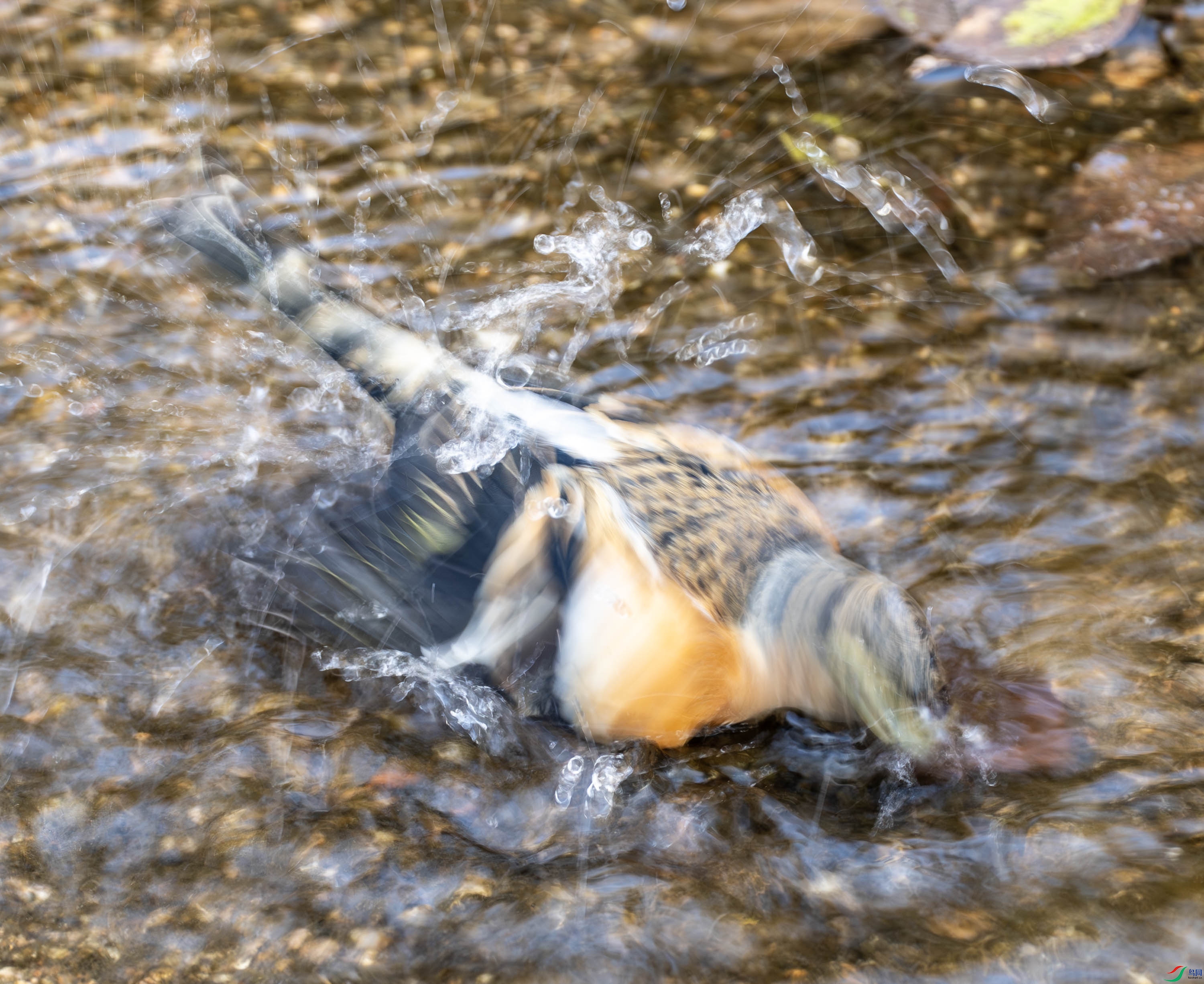 ��ȸ-01-10.jpg