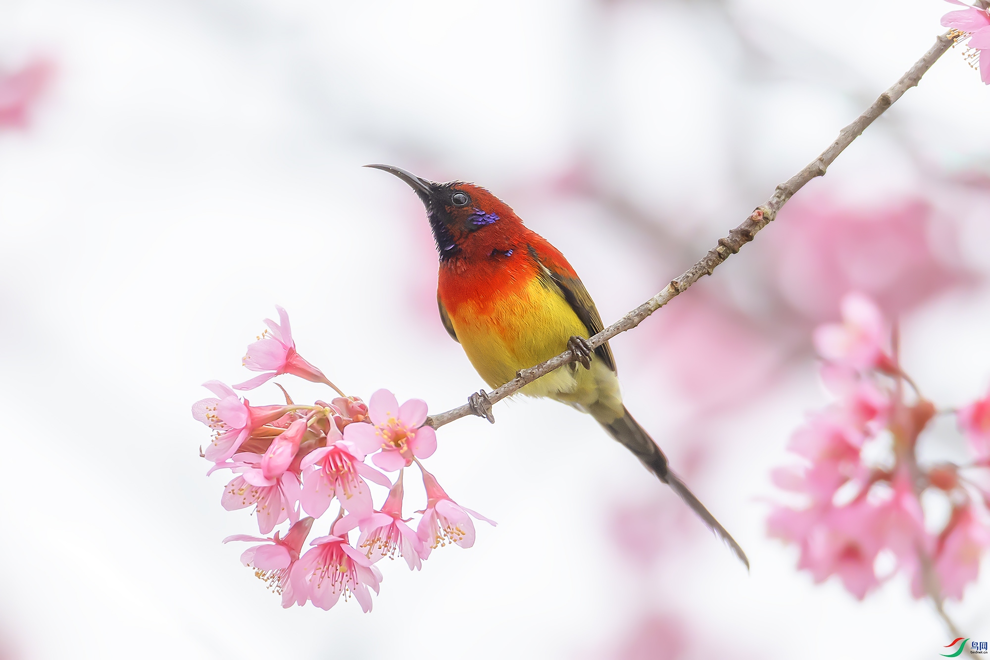 0F7A6687 ����.jpg