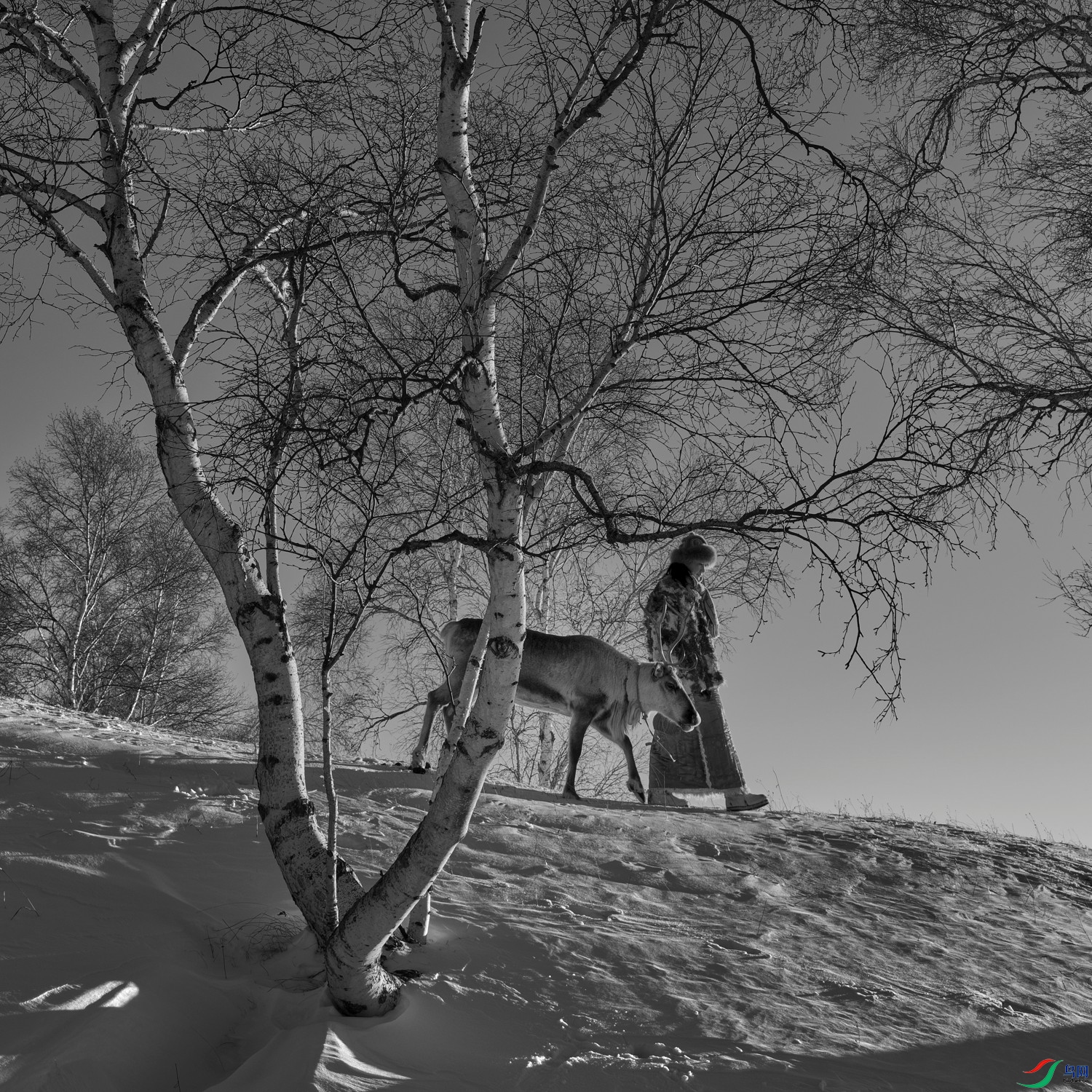 DSCF9913 .jpg