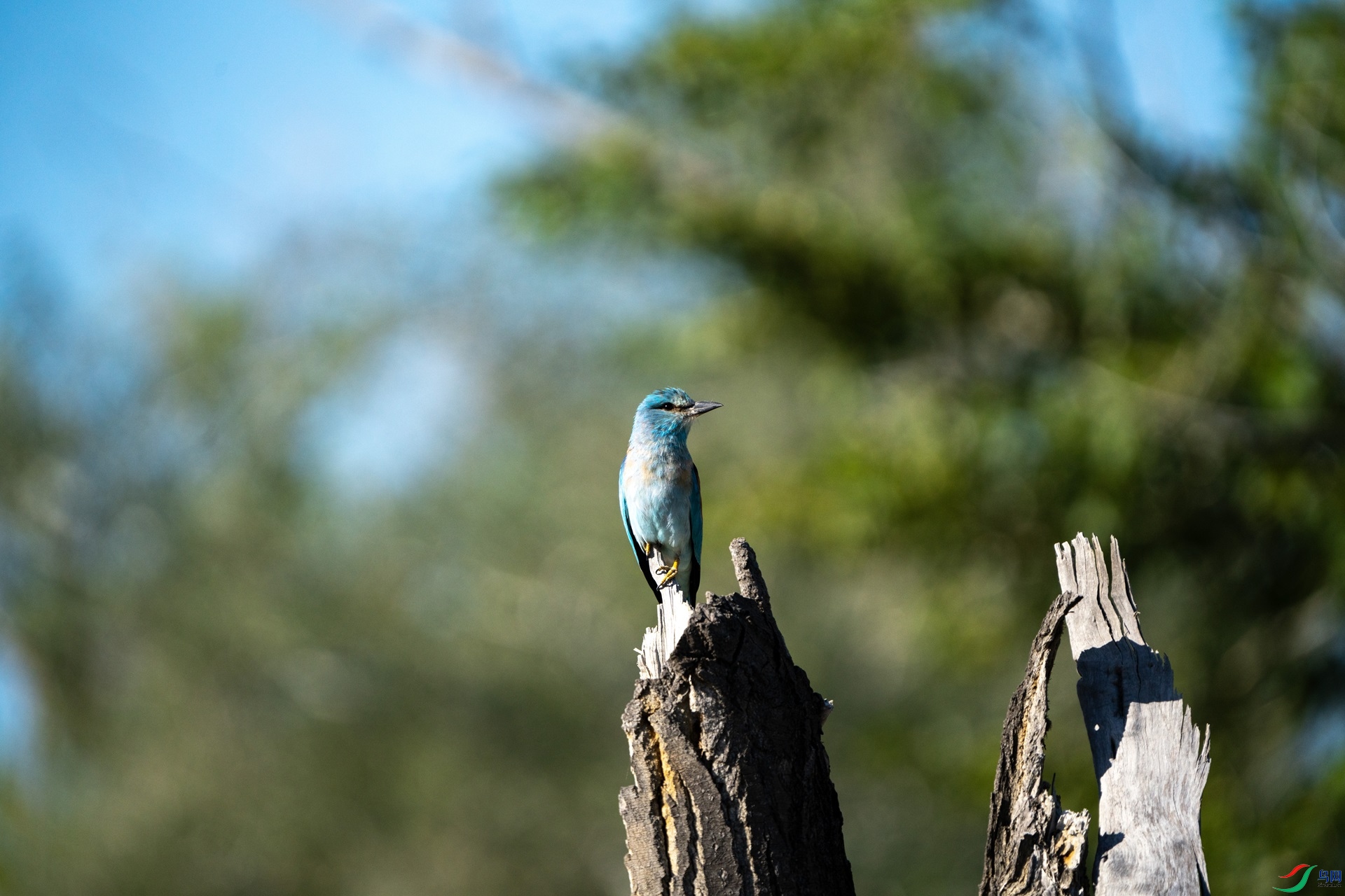 �ڱ� ����.jpg