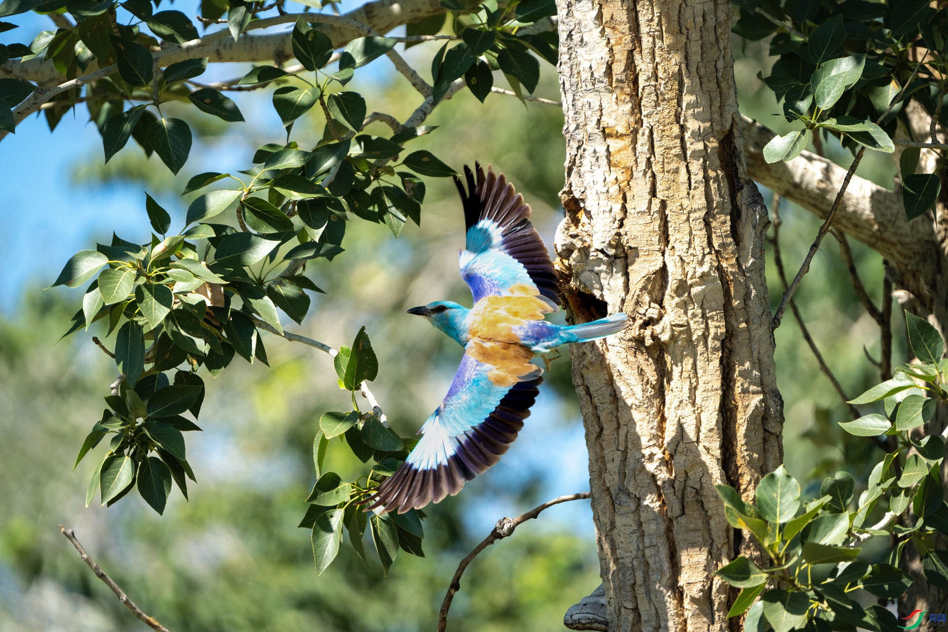 ���´�� ���� 2.jpg