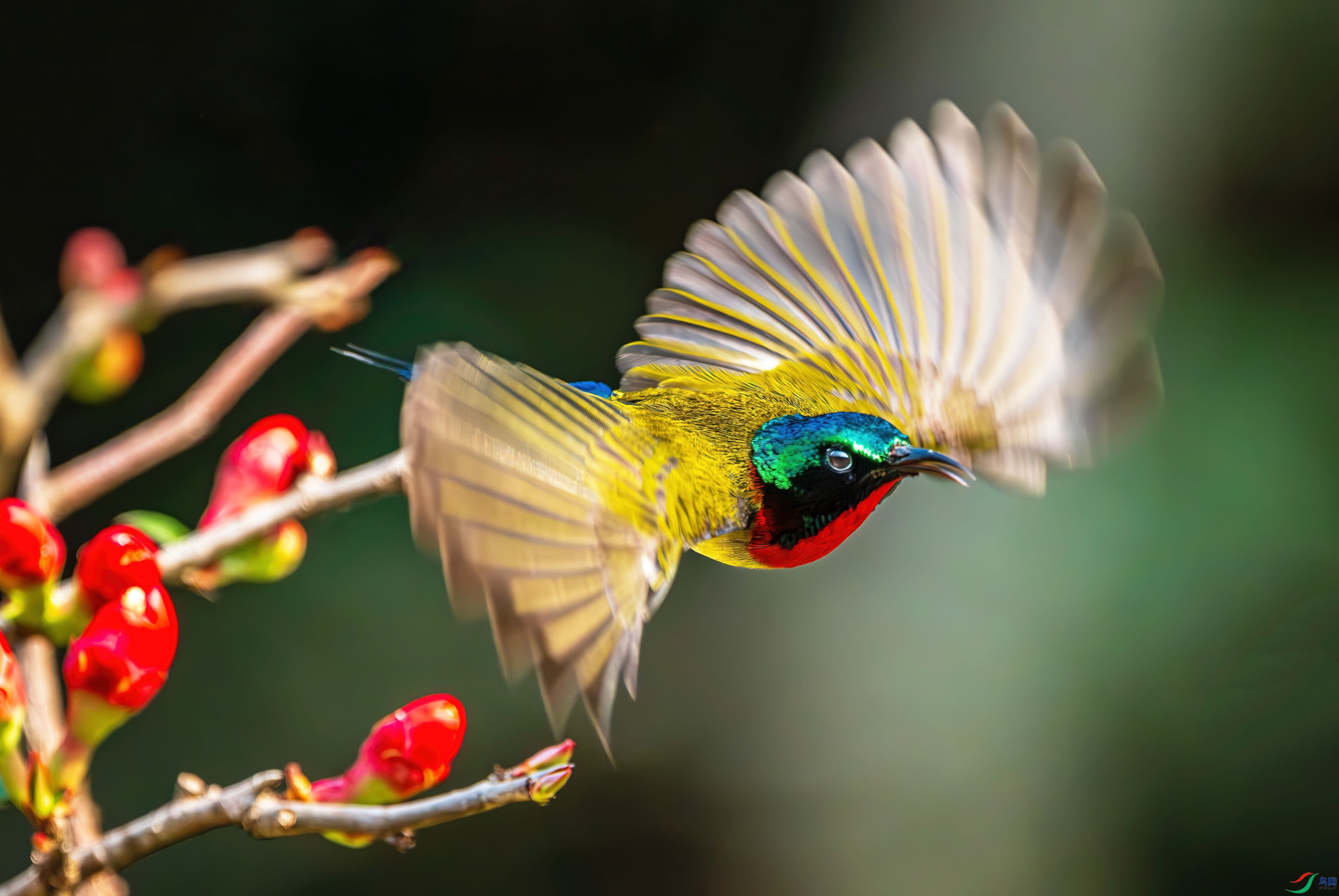 �����ĵ�һ�����